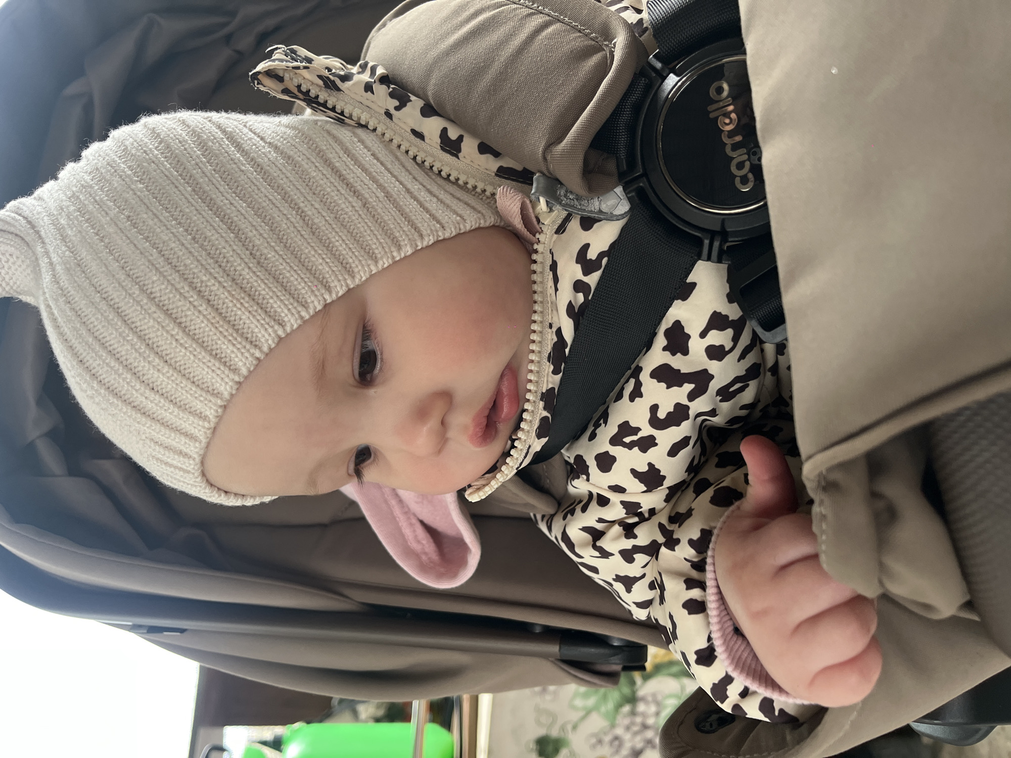 A baby wearing a cream-colored knit hat and a leopard-print jacket is secured in a stroller. The stroller has a brown interior and a black safety harness with the "Carrello" brand visible. The baby's face is turned to the side, and the child is holding their right hand near the edge of the stroller. The location is Novopokrovskaya, Russia.