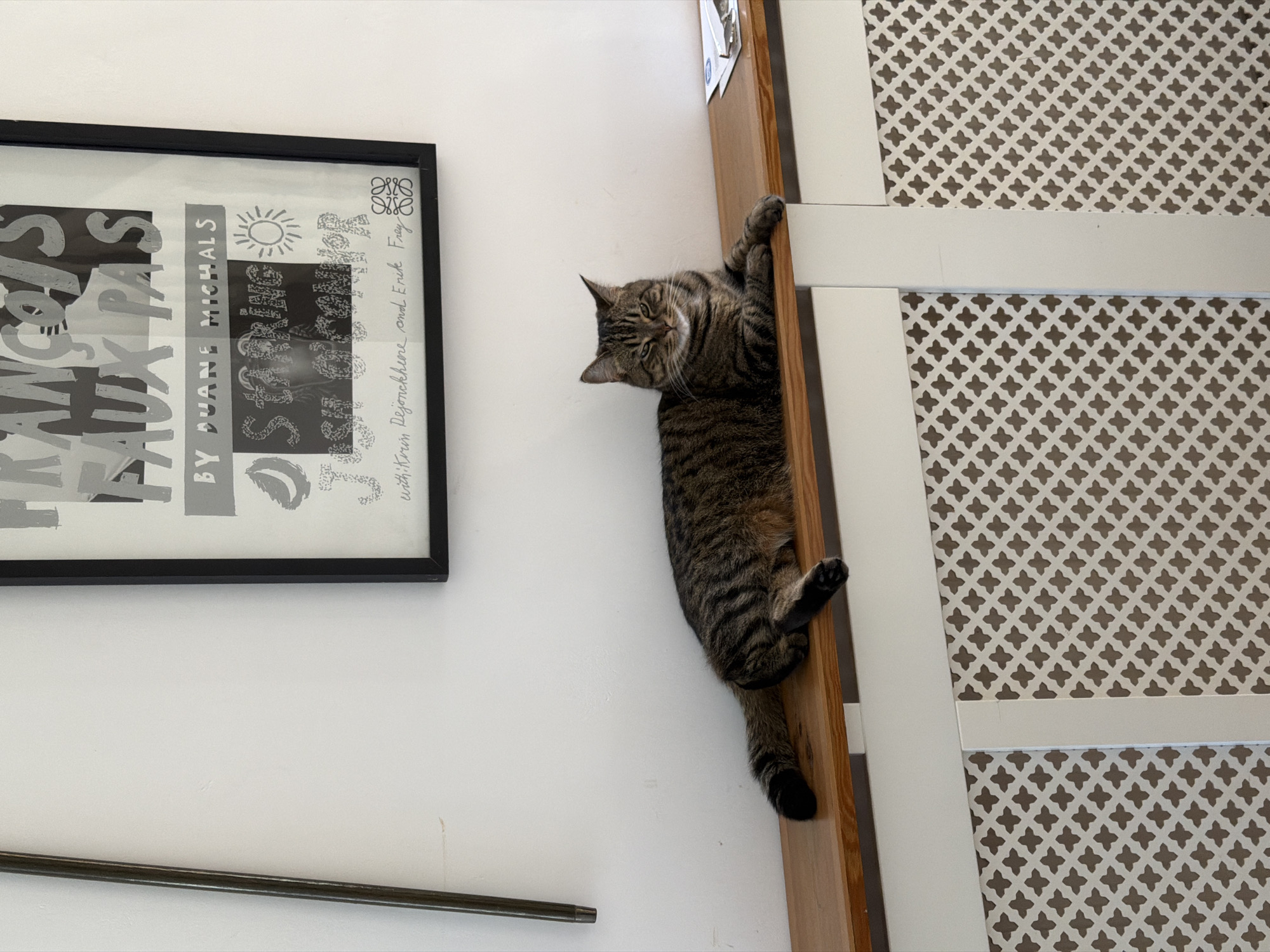 A tabby cat is clinging to the side of a wooden door or room divider, appearing to hang vertically. The cat's face is visible, and its body extends downwards along the vertical edge of the wooden structure. To the left of the cat is a framed poster with the title "FRANCOIS FAUX PAS" by Duane Michaels, which is hanging on a white wall. Below the poster, a dark metallic or wooden rod is attached to the wall. The door or divider next to the cat has a pattern of repeating shapes on it. The scene appears to be indoors.