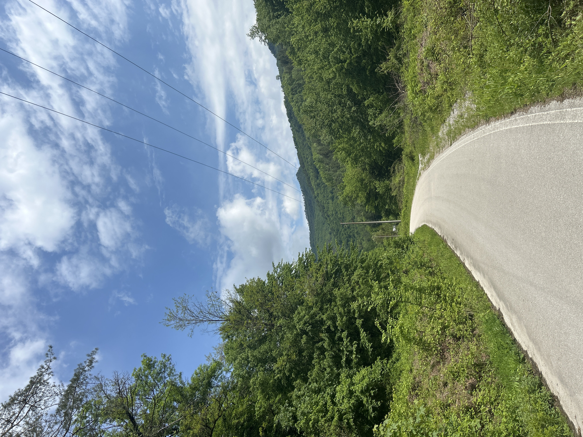 An outdoor landscape image depicts a paved road curving through a verdant, mountainous, or hilly environment under a bright, partly cloudy sky. The asphalt road, gray in color, sweeps gently to the right, disappearing into the distance around a bend. A faint white line marks the shoulder on the right side of the road.
To the immediate left and right of the road, dense green vegetation thrives, consisting of numerous trees and bushes. These trees appear to cover a steep hillside or mountain that rises sharply on the right side of the frame, indicating a forested landscape. The foliage is lush and vibrant, suggesting a warm season like spring or summer.
Above the treeline, a clear blue sky is visible, dotted with scattered white, wispy clouds that stretch across the expanse. In the upper left portion of the sky, several thin, dark lines, likely power or utility lines, traverse horizontally, supported by a utility pole partially obscured by trees on the right side of the road.
No people or vehicles are visible, suggesting a tranquil and possibly remote setting. The bright illumination, even light, and blue sky indicate it is daytime, likely mid-morning or early afternoon. There is no visible text in the image. The scene conveys a sense of natural beauty and an open road journey through green wilderness.