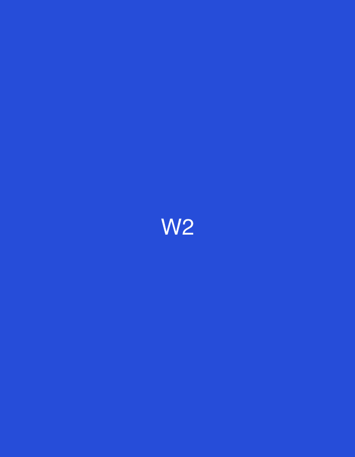 This image displays a solid, uniform blue background. Centered on this blue field is the white alphanumeric text "W2". There are no other discernible subjects, objects, people, or actions present in the scene. The image is devoid of environmental details, textures, or shadows. This scene is located in Casablanca, Morocco.