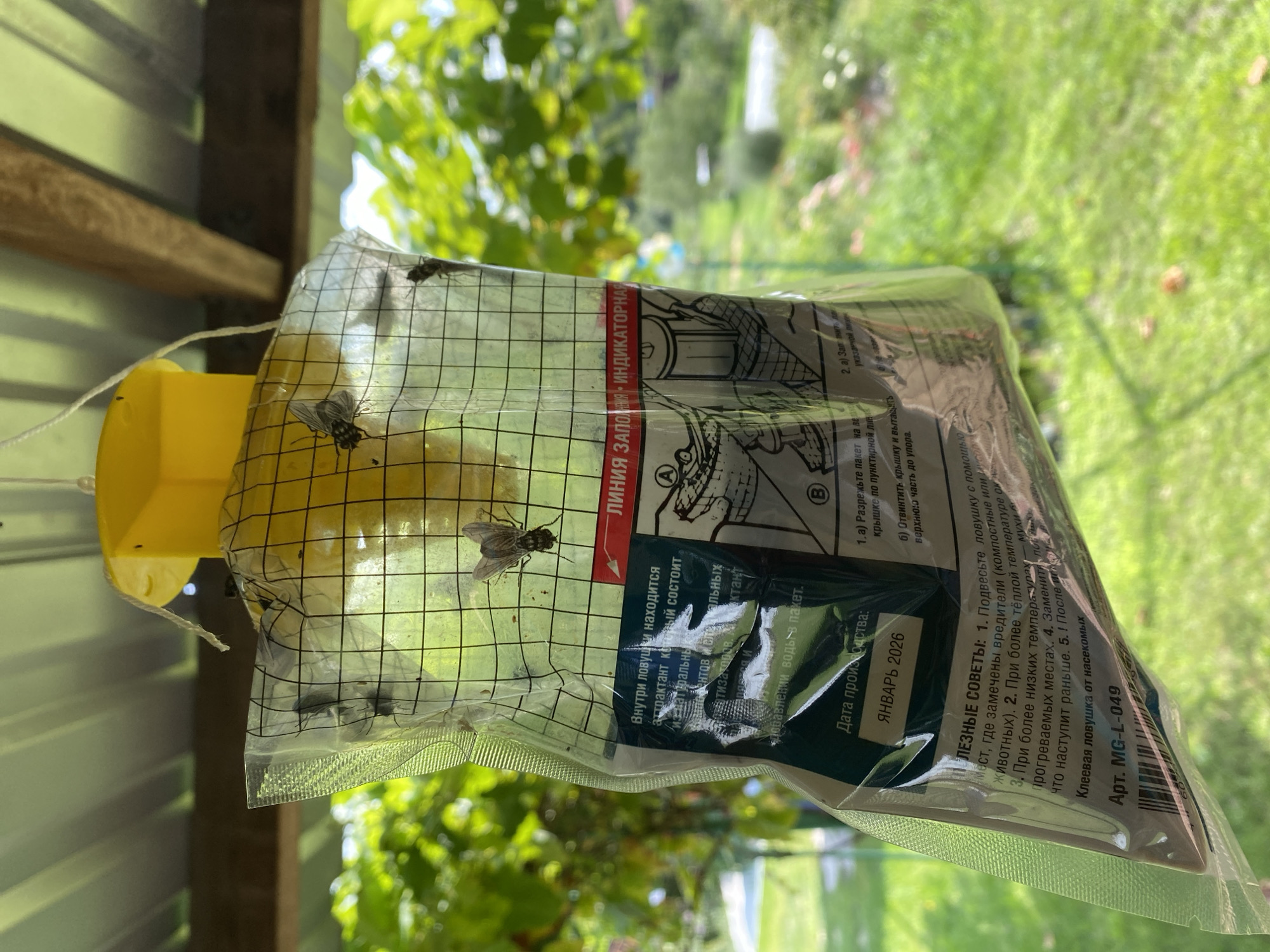 A yellow and clear plastic fly trap hangs from a wooden beam. The trap contains several flies. The trap has text and diagrams printed on it, including a date of production: January 2026. The trap is outdoors, with greenery and grass visible in the background. The location is stated to be in the city of Besplemyanovskii, Russia. There are no people or animals other than the flies in the image.