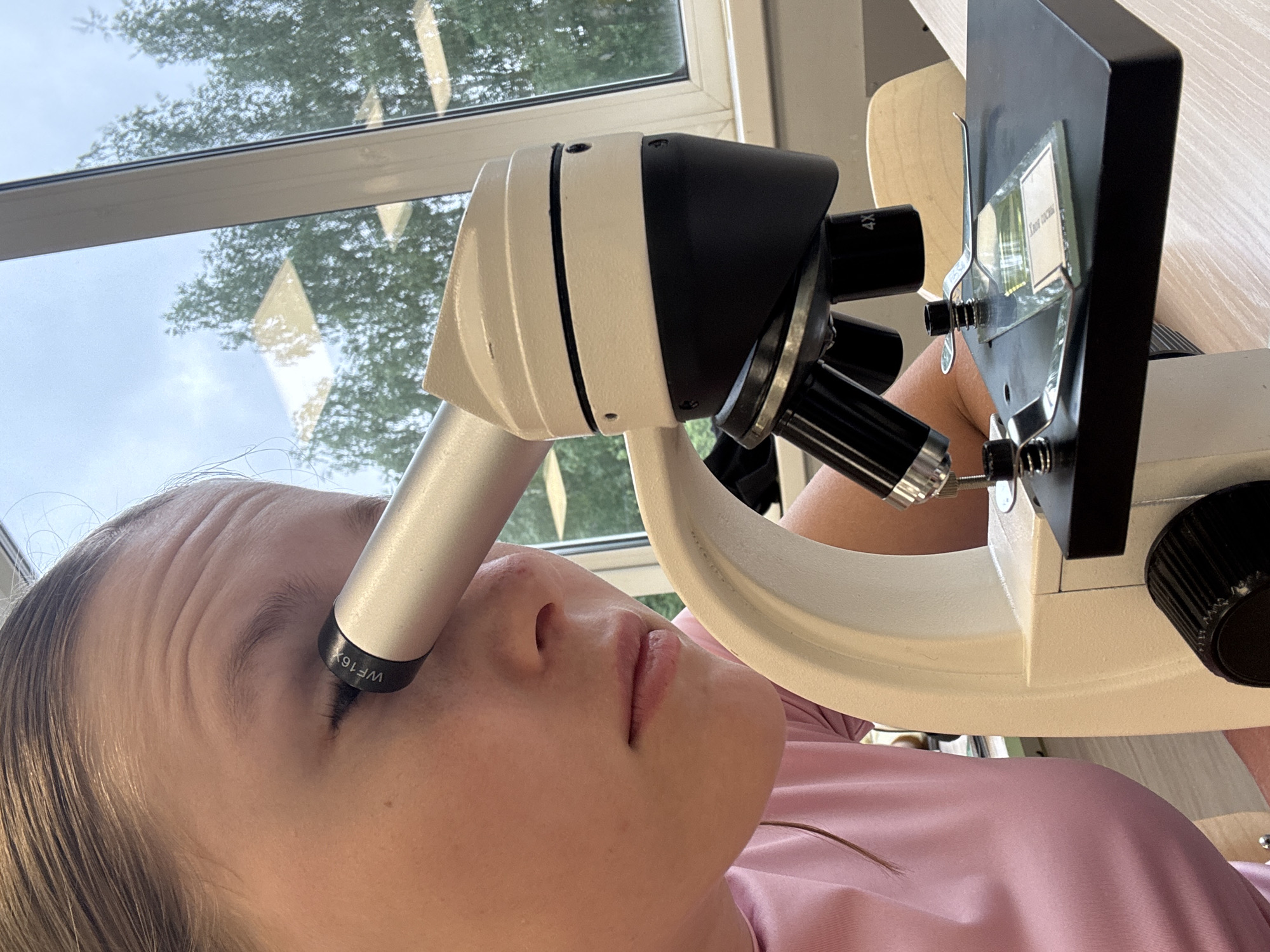 A fair-skinned young person, likely a female, is looking through the eyepiece of a microscope. The eyepiece is labeled "WF16X." The microscope sits on a light-colored wooden surface. Through a window in the background, trees are visible. The subject is wearing a pink shirt. The location is consistent with an indoor environment, possibly a laboratory or classroom. The precise location within the city of Chaikovsky, Russia, is not discernible from the given information.