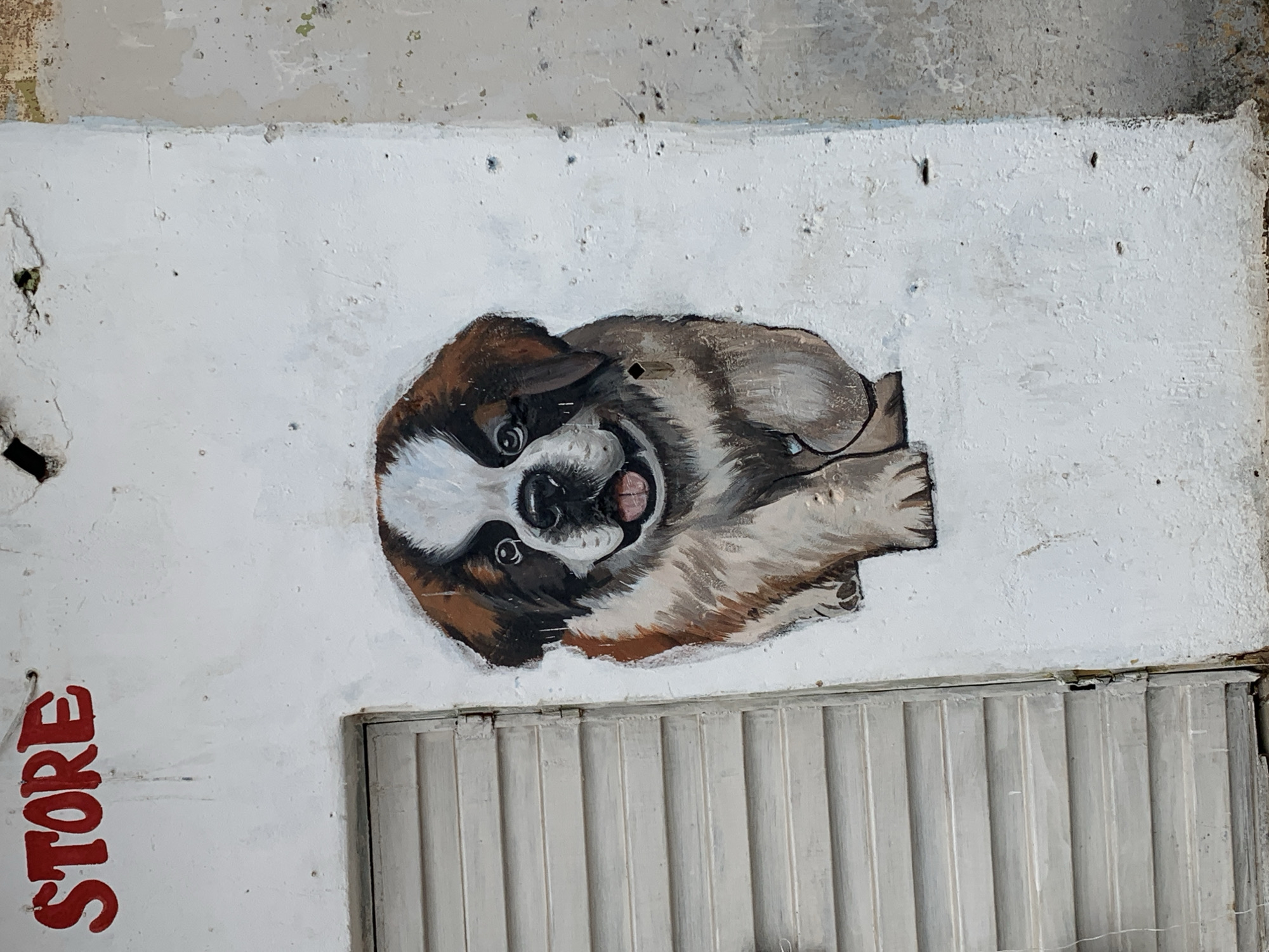 This image captures a weathered exterior wall section of a building in Rafin Par, Nigeria. A central feature is a painted mural of a Saint Bernard puppy, rendered with white, brown, and black fur markings, an open mouth revealing a pink tongue, and large dark eyes, conveying an impression of happiness. Above this painting, the word "STORE" is stenciled in bold red uppercase letters.
The wall itself is predominantly white, showing significant signs of age and wear. Multiple small, dark holes, likely from removed fasteners, are scattered across its surface. There are also areas of paint chipping, minor cracks, and subtle discoloration. To the left of the puppy mural, a closed, light-colored louvered door or shutter, constructed from horizontal slats, is visible within a recessed frame. Its surface also exhibits minor wear. To the right of the white wall, a distinct vertical seam marks a transition to a different building surface: a rough, textured wall section with varying shades of beige, grey, and faint green, suggesting exposed, unpainted, or significantly faded material. The overall scene depicts an aging urban facade.