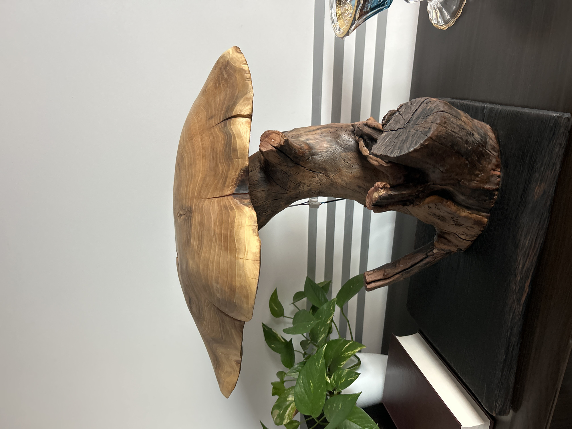 The image shows a wooden sculpture on a dark wooden surface, next to a white and green potted plant. Behind the sculpture is a wall with alternating white and grey vertical stripes. Part of a glass object is visible in the upper right corner. A book is visible below the plant on the dark wooden surface. The location is unspecified, and there is no information suggesting the location is in the city of Sofia, Bulgaria. No people are present in the image.