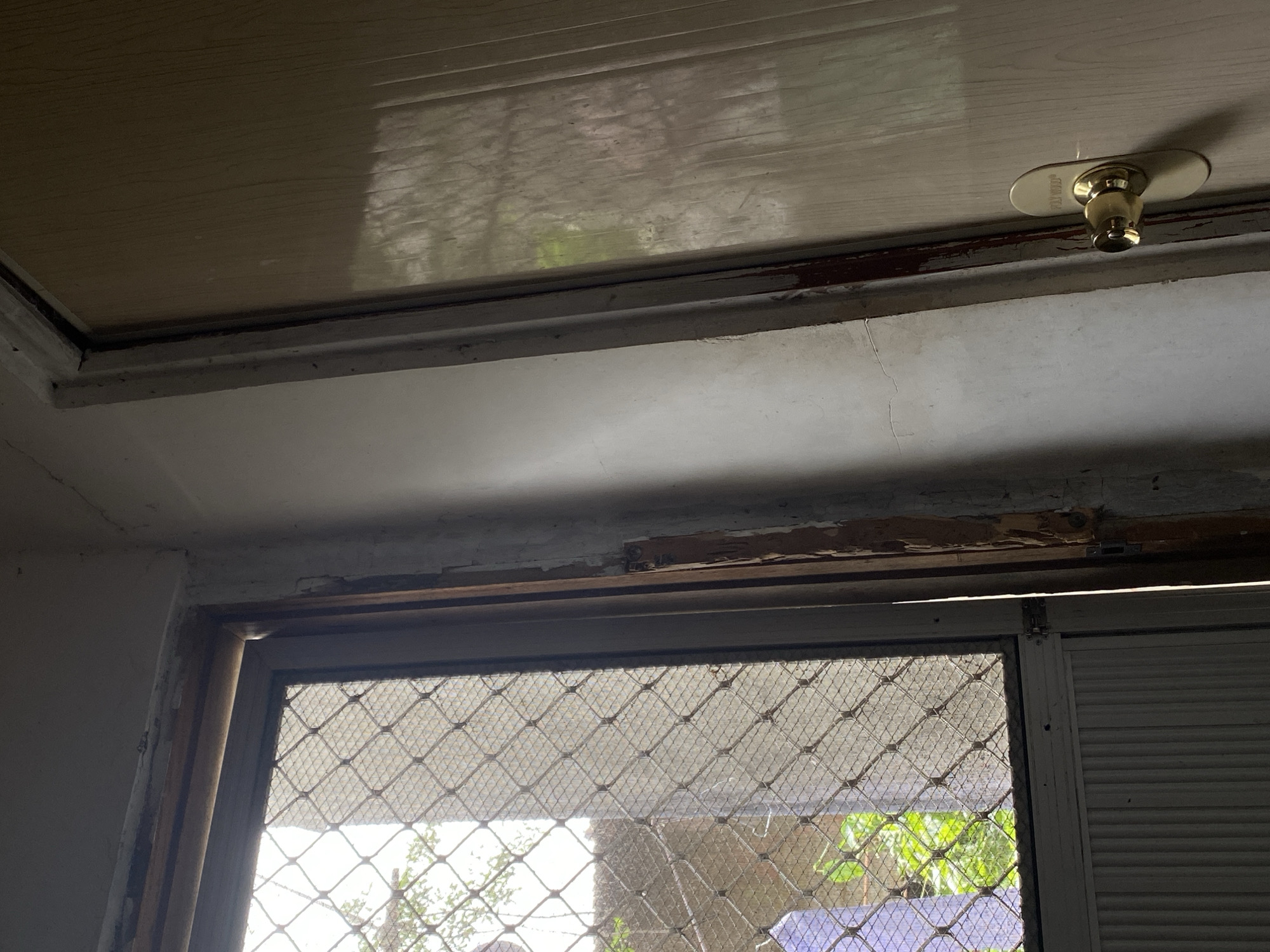 The image presents an indoor view within a structure in Davao City, Philippines, directed towards an exterior during daylight hours. On the left, a window with a dark wooden frame is visible, covered by a diamond-patterned metal mesh screen. Beyond the screen, bright light illuminates green foliage, likely trees, and a distant concrete wall or structure. A segment of light purple/blue fabric is partially discernible behind the screen in the lower-left corner. Below the window, a light-colored, vertically ribbed panel is present.
Adjacent to the window and separating it from a door, a section of wall and door frame exhibits considerable deterioration, characterized by peeling paint, exposed raw wood with a dark reddish-brown hue, and rough, uneven surfaces. A narrow vertical gap within this area allows a bright shaft of light to penetrate.
On the right side of the frame, a light-colored wooden or composite door, featuring a horizontal grain pattern, is partially visible. A brass-toned door handle with an oval escutcheon plate, inscribed with "POLY WOOD", is affixed to the door. The door's surface displays reflections of outdoor light and faintly discernible environmental elements. The wall surrounding the door and window exhibits cracks and general wear. No individuals are present within the scene.