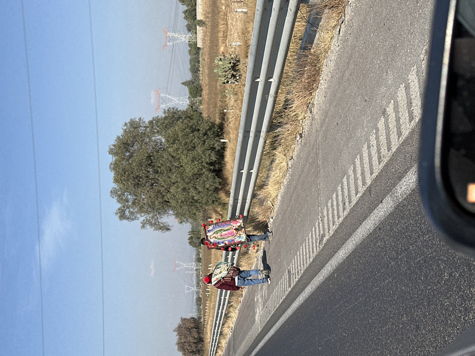 Two individuals walk along the shoulder of a highway, carrying a religious icon adorned with flowers. They are positioned adjacent to a metal guardrail, with power lines visible in the background. The road is marked with a solid white line and a series of dashed lines. The sky is clear and blue. A portion of a car's side mirror is visible in the frame's edge. The landscape features dry vegetation and scattered trees.