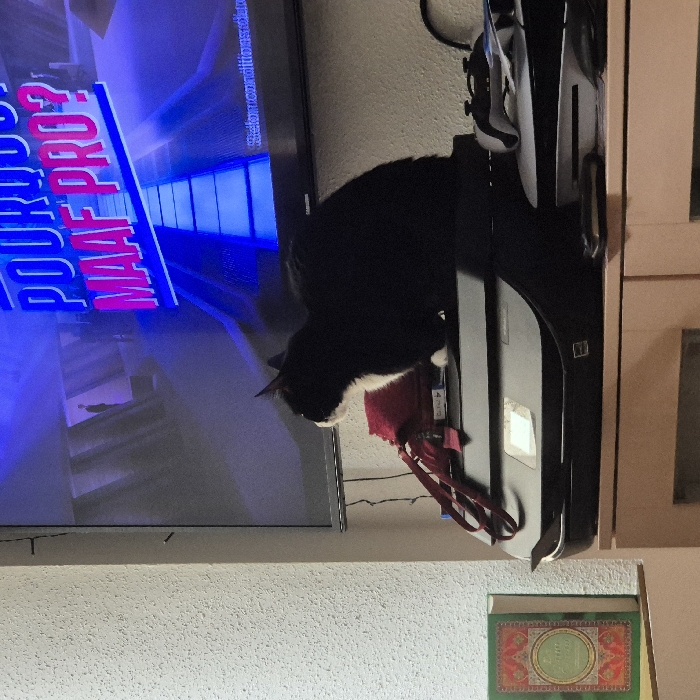 This image captures an indoor scene depicting a black and white cat seated on a printer, facing a television screen. The cat, predominantly black with a white chest and paws, is positioned on top of a black multi-function printer, looking towards the right side of the frame. A television screen, centrally located above the printer, displays French text in blue and pink, reading "POURQUOI MAAF PRO?". A dark silhouette of a human figure is visible on the left side of the television screen. To the immediate left of the printer, a green book adorned with intricate gold and red patterns stands upright. To the right of the printer, a white gaming console, appearing to be a PlayStation 5, is visible with a white controller resting on its surface. All these objects are situated on a light-colored wooden cabinet with visible drawer or door lines. The wall behind the entire setup is a light, textured surface. Cables are faintly visible hanging behind the printer and television. The location of this indoor scene is stated to be Strasbourg, France.