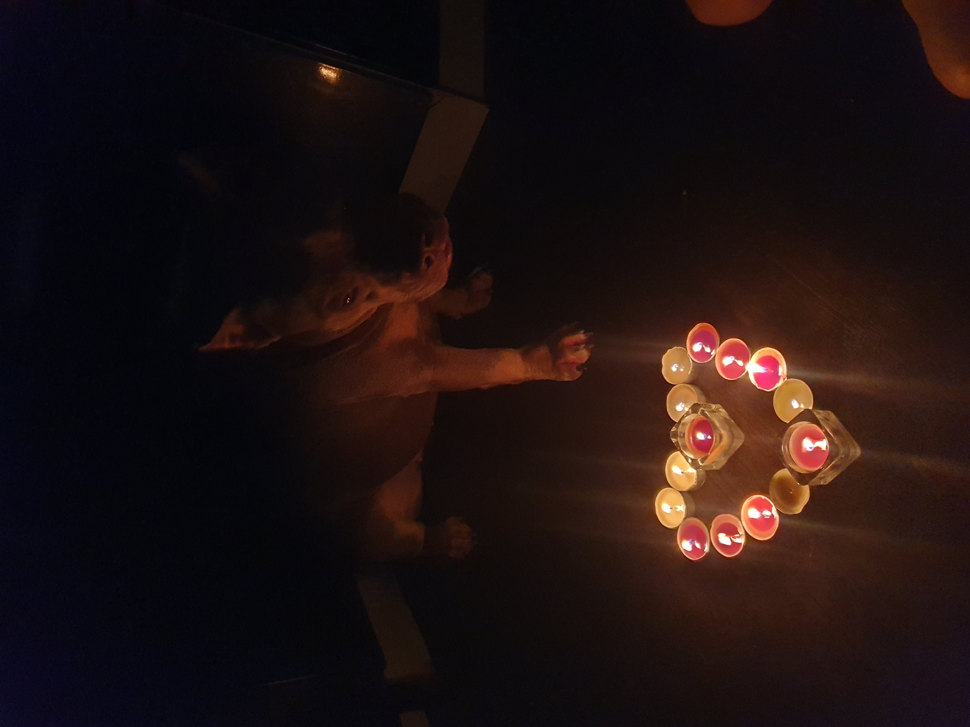 A dimly lit scene shows a dog next to a heart shape made of lit candles on a dark surface. The dog, light brown with short fur, is in the left side of the frame, looking toward the candles. The heart is formed by small tea light candles, some with a reddish glow and others more yellow. The surrounding area is mostly dark, with faint outlines of furniture or objects barely visible. The location is unknown and does not match that of the city of Ulyanovsk, Russia.
