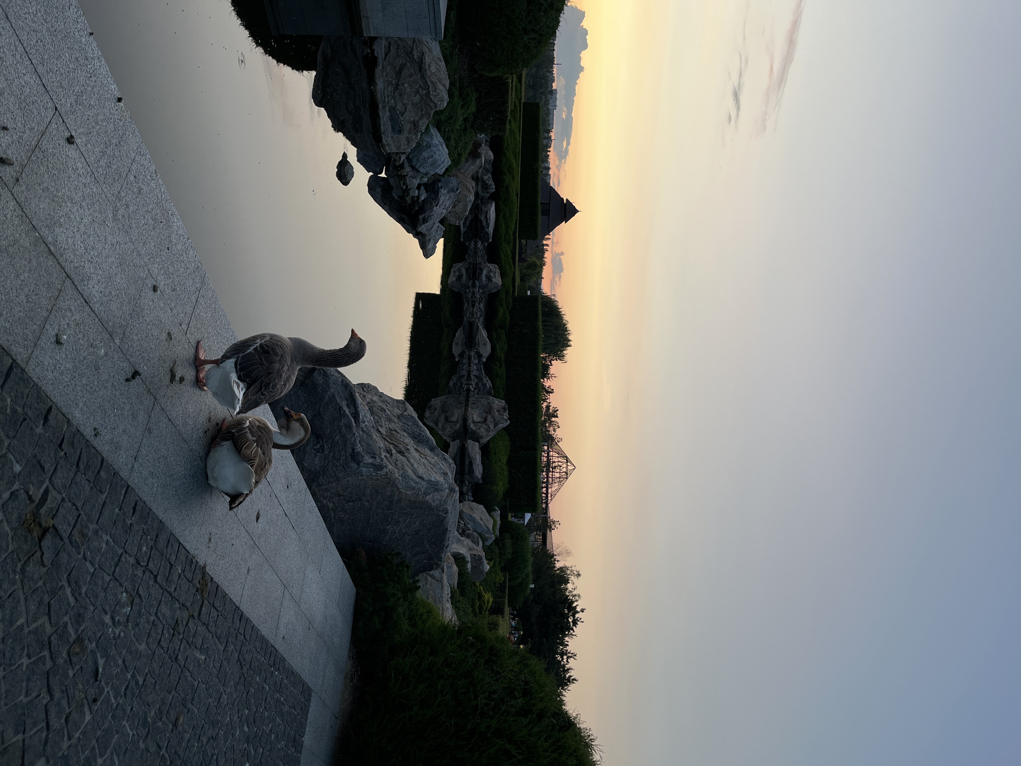 The image depicts a serene park scene at dusk, likely in Dnipro, Ukraine, given the architectural style of the pagoda-like structure in the background. Two geese are the primary subjects, positioned on a paved walkway adjacent to a calm body of water. The goose in the foreground is standing, facing left, while the second goose is seated, facing right. The water reflects the soft, warm hues of the setting sun, which creates a gradient of colors from pale yellow and orange near the horizon to a soft blue-gray in the upper sky. The park features meticulously maintained hedges, large rocks scattered around the water's edge, and several trees, including a weeping willow on the right. In the distance, a distinctive building with a multi-tiered roof and another structure resembling a geodesic dome or greenhouse are visible, silhouetted against the twilight sky. The overall atmosphere is peaceful and tranquil.