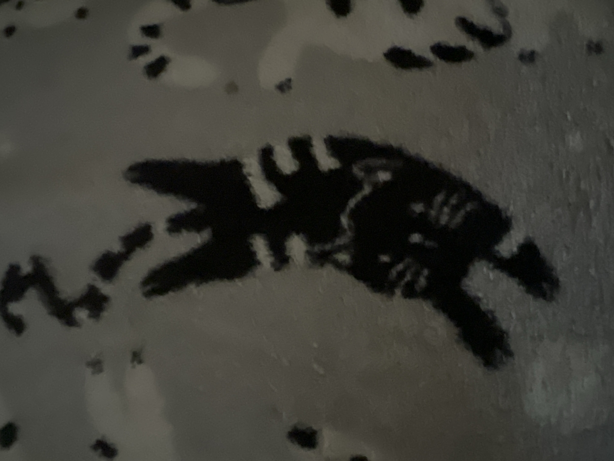 The image shows a dark, blurry silhouette of a cat lying on a textured surface. The cat appears to be upside down, with its paws extended. The surface is a mottled grey and white, with some darker specks and lighter patches. There are no recognizable landmarks or features that would indicate a specific location in Warsaw, Poland. The lighting is dim, and the overall impression is one of a close-up shot taken in low light conditions.
