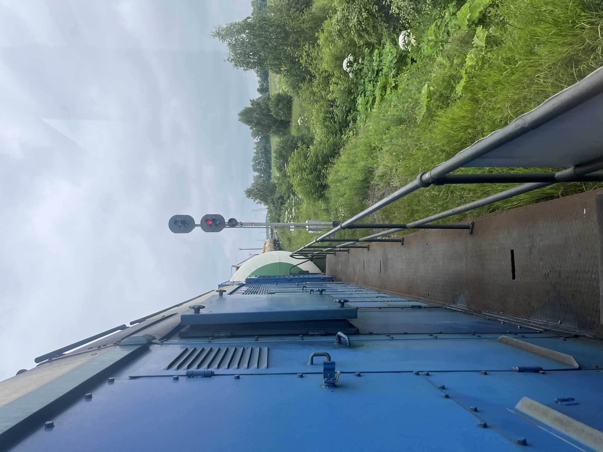 The image shows a view from a moving train in an outdoor environment. The train car is blue with visible metal panels and doors. A narrow walkway with a metal railing runs alongside the train. To the right of the train, a lush green landscape is visible, characterized by tall grass, various plants, and trees. A railway signal with a red light is positioned next to the track. The sky is overcast with clouds. No people or specific city landmarks are identifiable.
