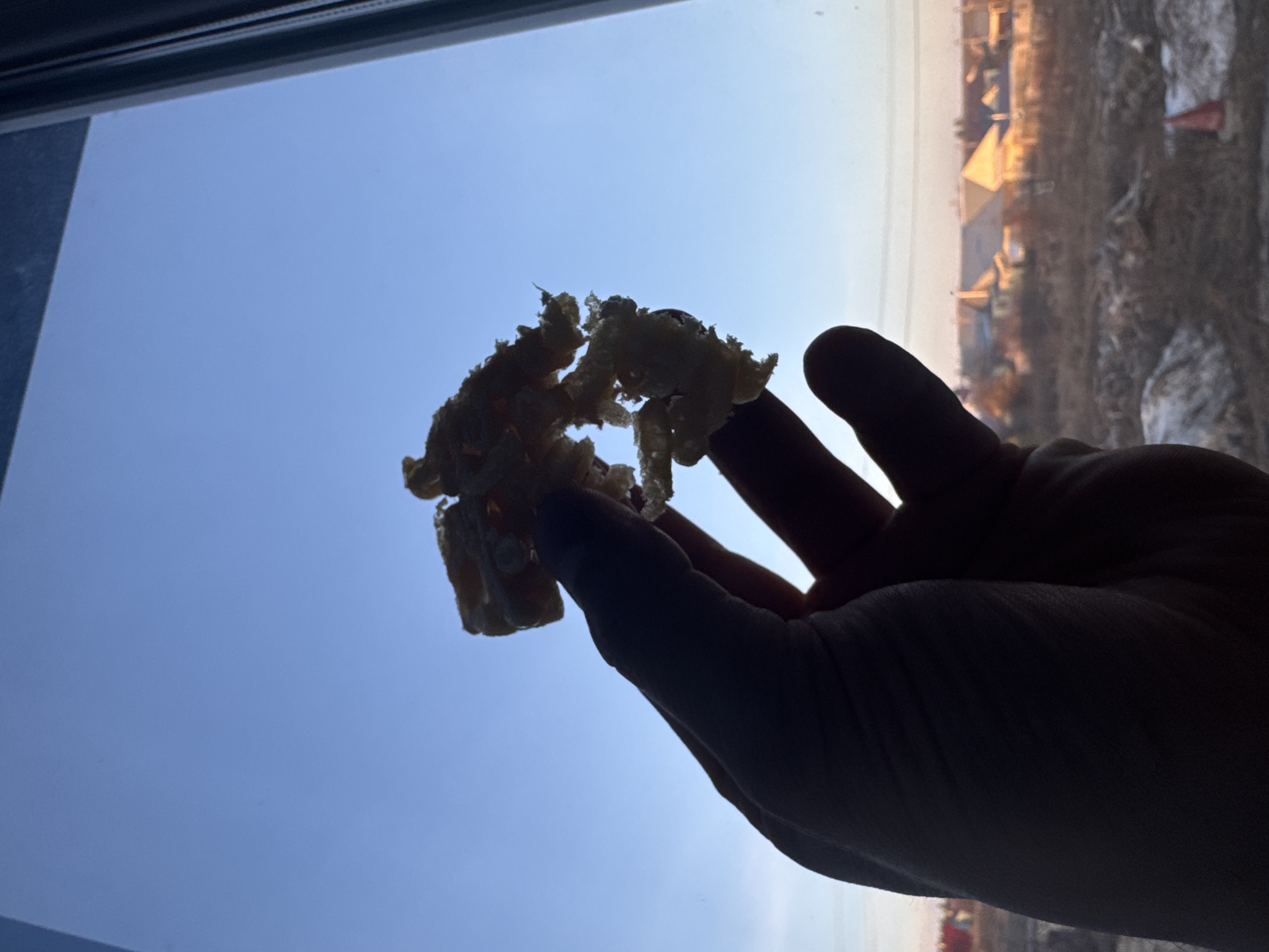 The image captures a silhouetted view from indoors, looking out through a window at a bright, clear daytime sky and a distant landscape. In the foreground, a human hand is strongly silhouetted against the bright sky, holding an irregularly shaped, textured piece of food, possibly bread or a baked good. The item appears light-colored where the sunlight passes through its edges, but is mostly dark due to backlighting.
The top and left edges of the frame show parts of a dark window frame. Beyond the hand and the food, the sky is a vast, cloudless blue. The lower right portion of the background reveals a distant outdoor scene. This landscape appears somewhat barren, possibly indicative of a cold season or a dry environment, with indistinct patches of ground and sparse vegetation. Several buildings or houses are visible in the distance, their shapes muted and colors subdued, though some surfaces reflect sunlight with warm, light-brown or yellowish hues.
The primary activity depicted is a person holding an item of food against a window. The time of day is clearly daylight, likely morning or late afternoon given the angle of sunlight on the distant structures. The weather is bright and clear. There is no visible text in the image. The location context provided is Oktyabrsky, Russia.