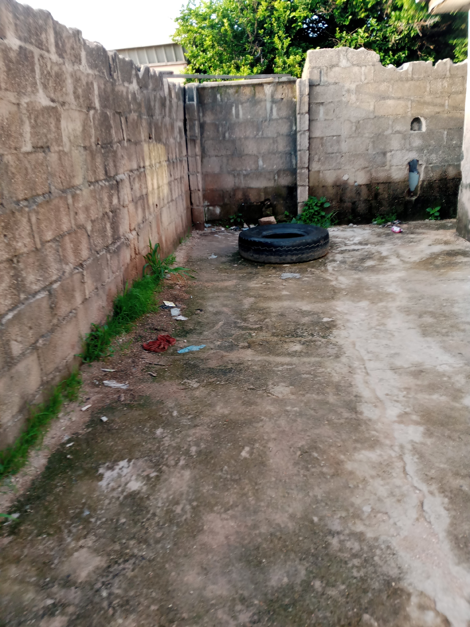The image depicts an outdoor scene in what appears to be a backyard or an undeveloped area. A large, dark-colored tire is prominently placed on a concrete ground, which is uneven and stained. To the left, a tall, rough-textured wall made of concrete blocks stretches across the frame, with some sparse green vegetation growing at its base. Further back, another wall, also of concrete blocks, forms a corner. Above the walls, lush green trees and foliage are visible against a bright sky. The overall environment suggests a somewhat neglected or unfinished construction site. The presence of a tire and the general state of the ground and walls imply a practical or service-related area rather than a residential one.