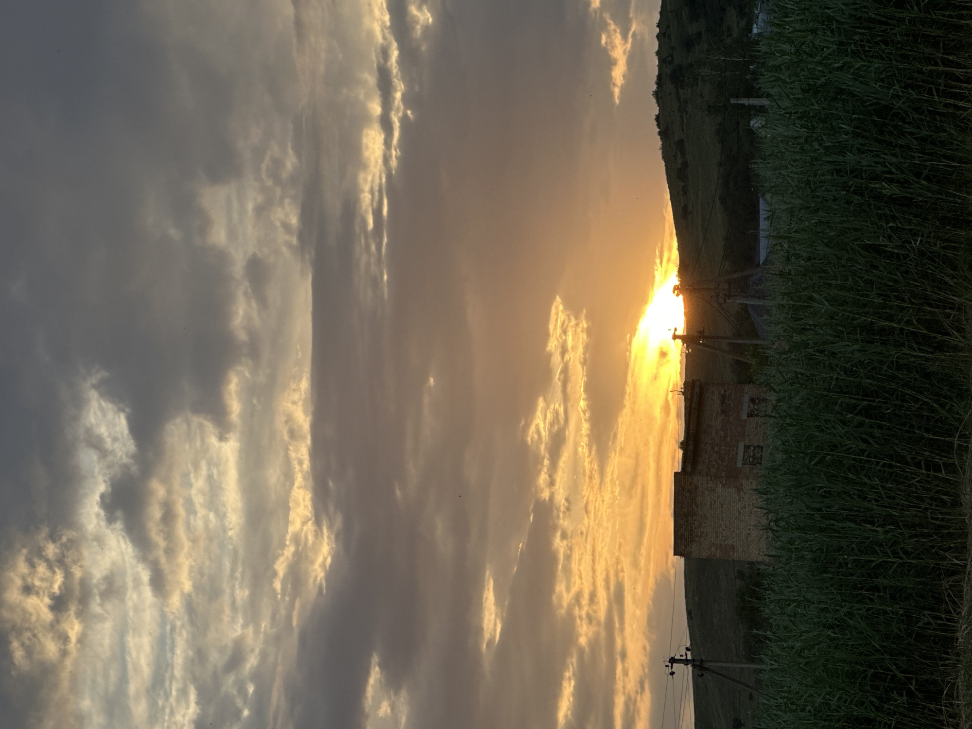 A sunset scene unfolds over a field of tall green grass in Novoteretsky, Russia. The sky is filled with dramatic clouds, some dark grey and others illuminated by the setting sun, creating a gradient of orange and yellow hues. In the middle ground, a weathered brick building stands against a backdrop of a sloping, vegetated hill. A power line pole with electrical wires is visible to the left of the building. The foreground is dominated by the dense green grass, reaching up to the middle of the frame. The overall impression is one of rural tranquility during a vibrant sunset.