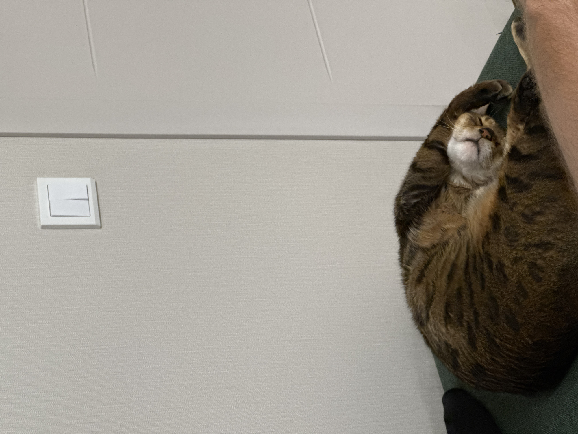 A tabby cat is captured in a state of deep relaxation, lying on its back with its head tilted upwards and eyes closed. Its front paws are raised and appear to be wrapped around a dark green surface, possibly a cushion or the armrest of a piece of furniture. A light-skinned human arm or leg is partially visible to the right of the cat, suggesting it might be resting on a person or sharing a space with them. The cat's fur displays prominent brown and black stripes.
The background consists primarily of a light beige or off-white wall with a subtle textured pattern, taking up the left and central portion of the image. A white ceiling is visible above the wall. On the wall, to the left of the frame, there is a white rectangular light switch with a single toggle. The overall scene conveys a sense of comfort and tranquility. There is no visible text.
