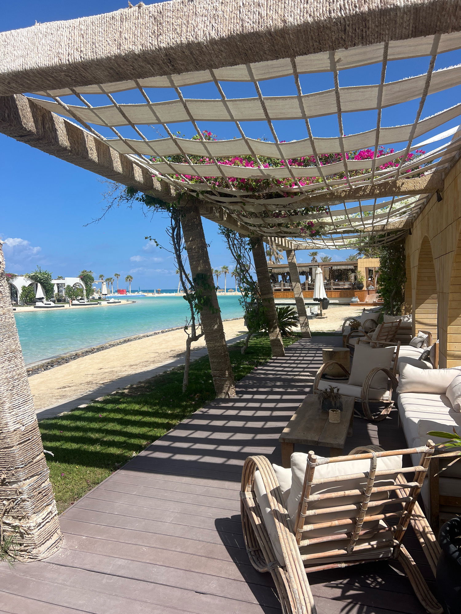 The image depicts a beachfront seating area in Sidi Abdel Rahman, Egypt, under a woven canopy adorned with vibrant pink flowers. The scene features a wooden deck with several rattan chairs and sofas, some with cream-colored cushions. A rustic wooden coffee table sits in the foreground, with a small potted plant on it. Beyond the seating area, a sandy beach transitions into a clear, turquoise body of water. In the distance, palm trees line the shore, and several white lounge chairs with umbrellas are visible. The sky is a clear, bright blue, indicating a sunny day. The architecture of the buildings in the background appears to be modern with arched openings.