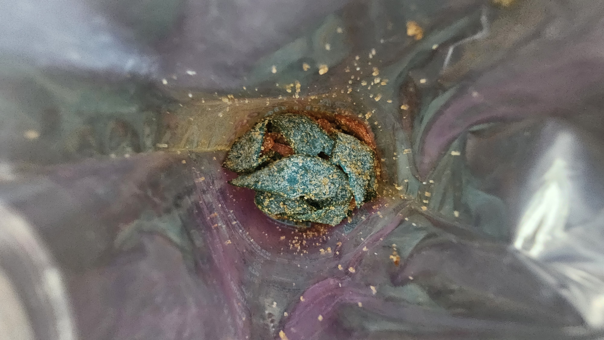 An overhead shot shows a clear plastic bag, inside which are remnants of food. The food appears as clumps of blue and orange matter with an overall crumbly texture. There are small, granular particles scattered inside the bag around the food remnants. The bag itself has a mottled appearance with purple and green hues visible through the plastic. The scene is indoors. There is no indication of the location as San Bernardino Tlaxcalancingo, Mexico. There are no people, actions, or interactions in the image.