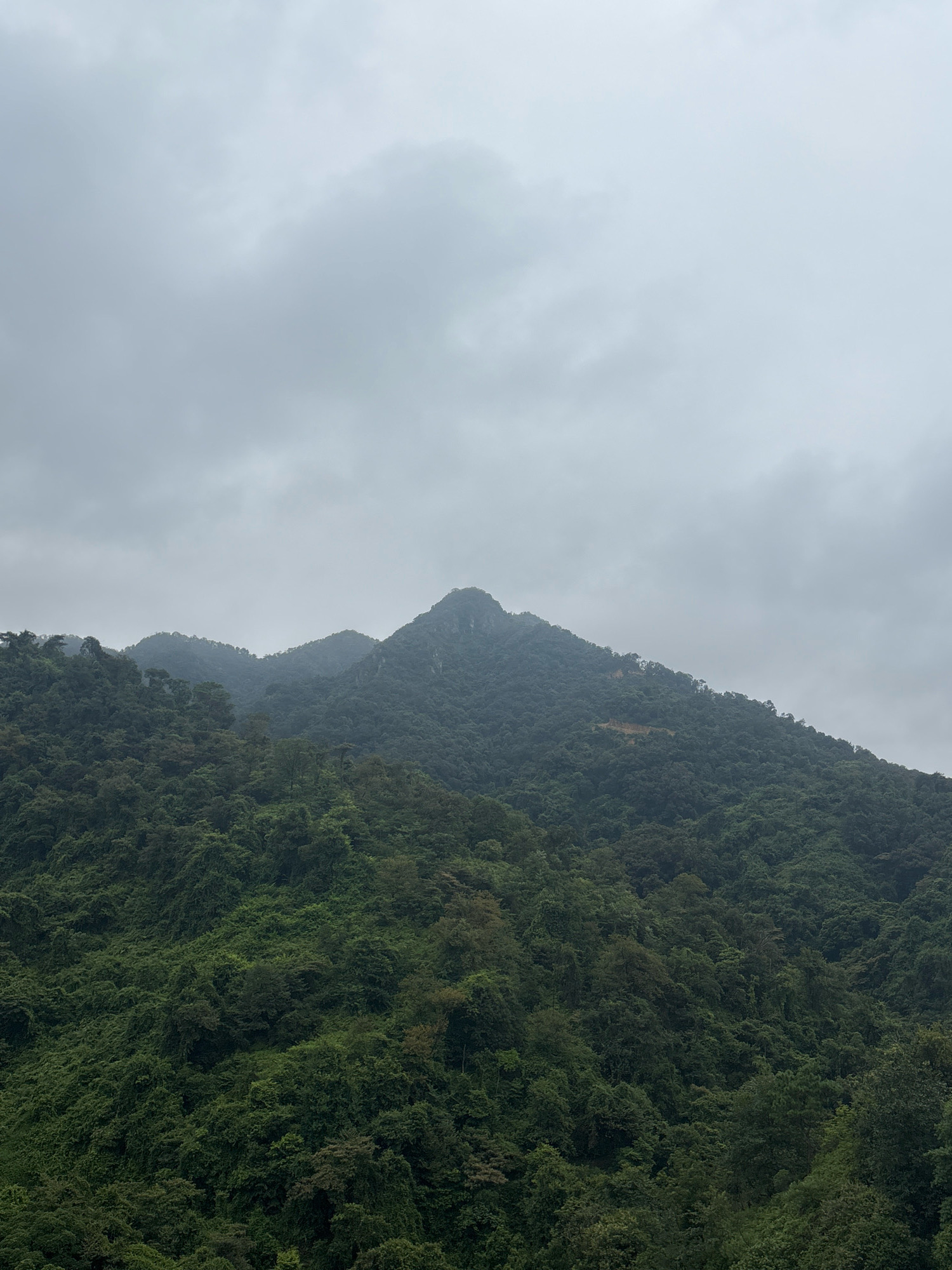 A photograph captures a panoramic view of lush, verdant mountains under a heavy, overcast sky. The mountains are densely covered with trees, creating a textured carpet of green that extends from the foreground to the horizon. The sky is a uniform gray, obscuring any direct sunlight and giving the scene a subdued, atmospheric quality. The rugged terrain of the mountains is evident, with peaks and valleys creating a dramatic silhouette against the sky. The image appears to be taken from a distance, offering a wide vista of the natural landscape. The location is identified as Sanshui District, China. There are no people, man-made objects, or discernible actions in the image, focusing solely on the natural environment of the mountains and sky.