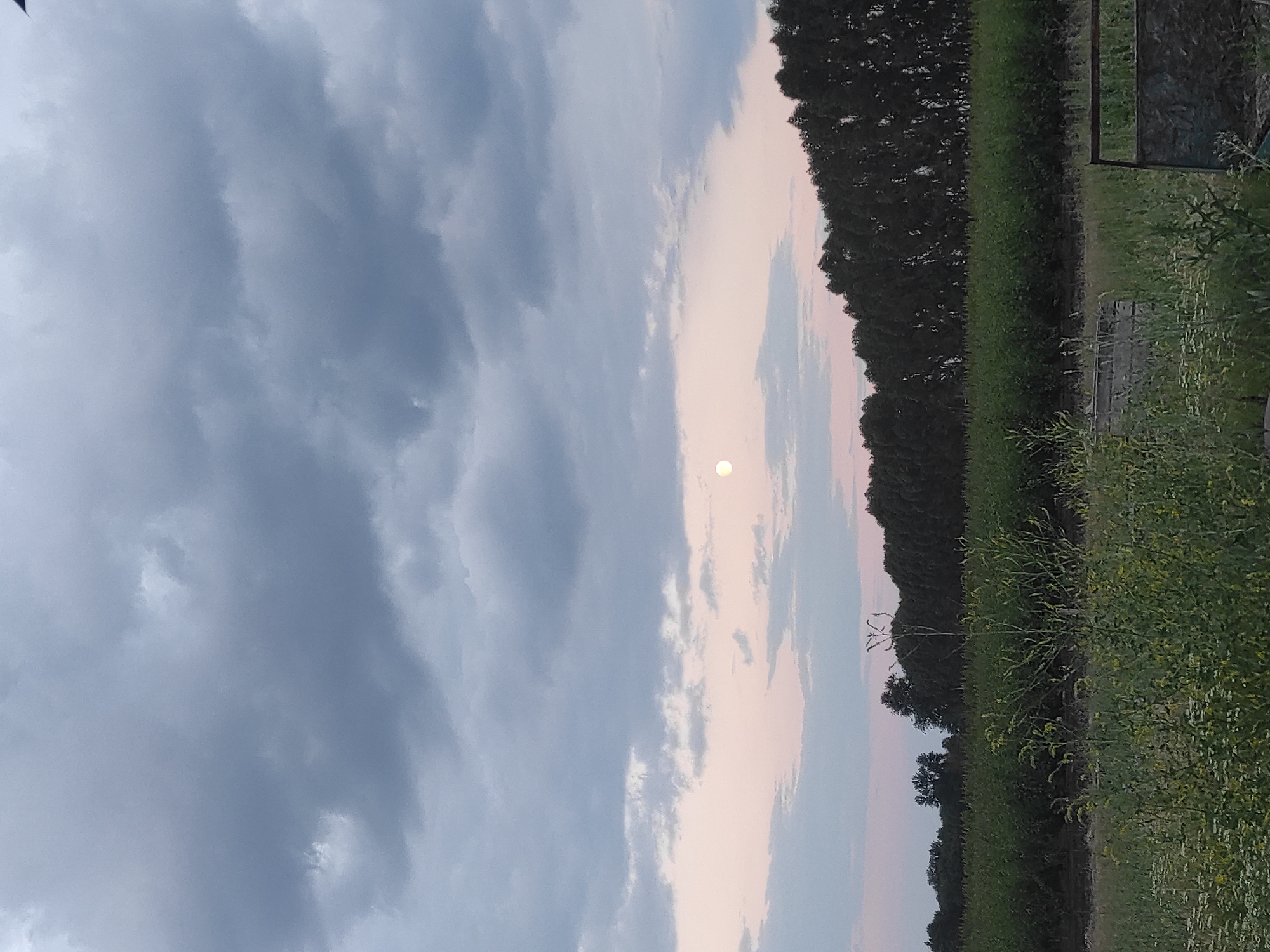 The image captures an outdoor scene with a dramatic sky and a natural landscape. The sky is a prominent feature, filled with a mix of dark, heavy clouds on the left and lighter, more diffused clouds transitioning to a soft pinkish-blue hue on the right. A bright, circular object, likely the sun or moon, is visible within the lighter part of the sky.
Below the sky, a dense line of dark trees forms a natural border along the horizon. To the right of the trees, a field of green grass and vegetation stretches into the foreground. Small yellow wildflowers are interspersed within the green foliage, adding flecks of color. A rustic wooden structure, possibly part of a fence or bench, is partially visible in the lower right portion of the image, along with what appears to be a metal grate. The orientation of the image is vertical.
The lighting suggests it is either sunrise or sunset, given the soft colors in the sky and the bright celestial object. The cloudy conditions indicate a dynamic weather pattern. The scene conveys a sense of natural beauty and tranquility. There is no visible text in the image.