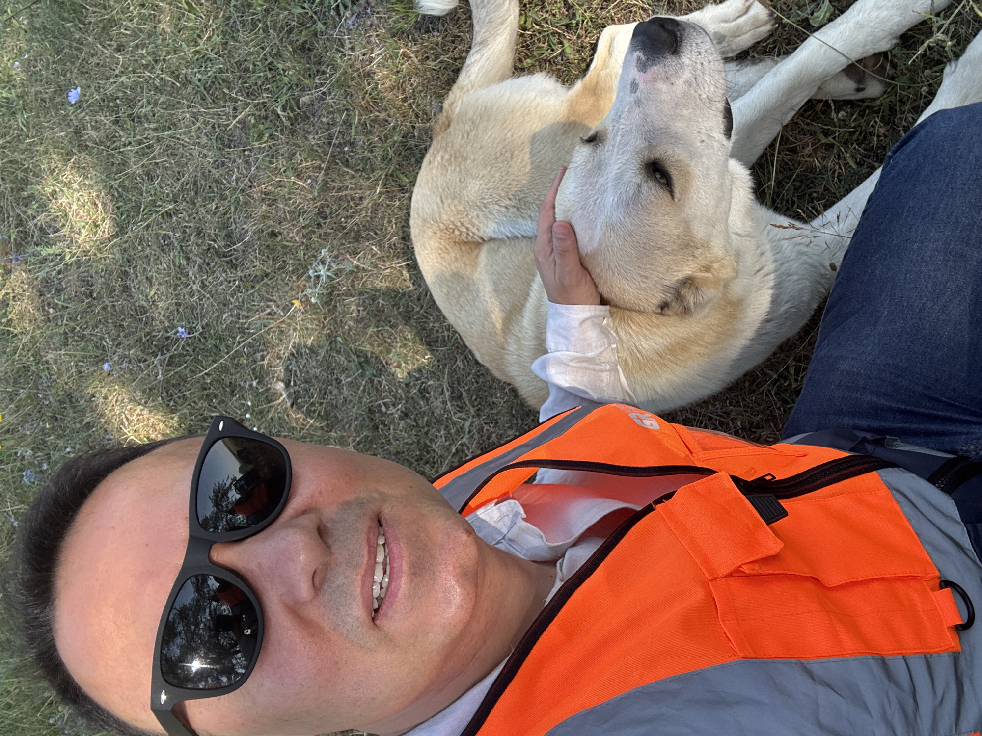A man wearing sunglasses and an orange high-visibility vest is seated on the ground next to a light-colored dog. The man is resting his left hand on the dog's head, and the dog is lying down. The ground is covered in dry grass and some small blue flowers. The scene appears to be outdoors, possibly in a rural area or park, with dappled sunlight suggesting trees are nearby. The man's attire, including the vest, suggests he might be working outdoors. The overall impression is one of a relaxed interaction between the man and the dog. The location is Kvemo Khvedureti, Georgia.