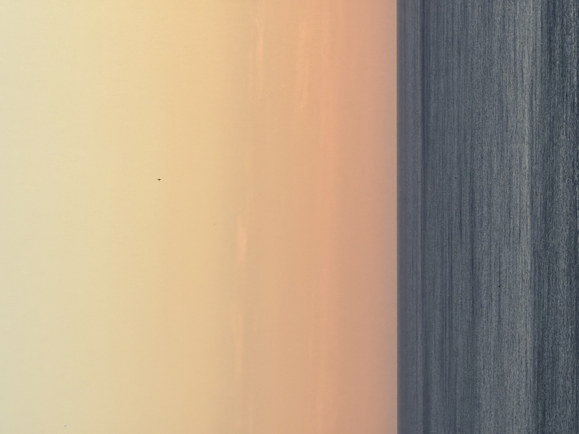 A vast expanse of calm, dark blue ocean stretches across the bottom half of the frame, meeting a soft gradient of peach and yellow sky at the horizon. The sky transitions from a pale yellow at the top to a warmer peach hue closer to the horizon, with subtle wisps of clouds visible in the middle section. A single, tiny dark object, possibly a bird or a plane, is visible in the upper sky. Another even smaller dark mark is present in the ocean, near the center of the frame. The overall impression is one of tranquility and vastness. The scene is likely a coastal view from Petrovac na Moru, Montenegro, capturing a serene moment of the sea and sky.