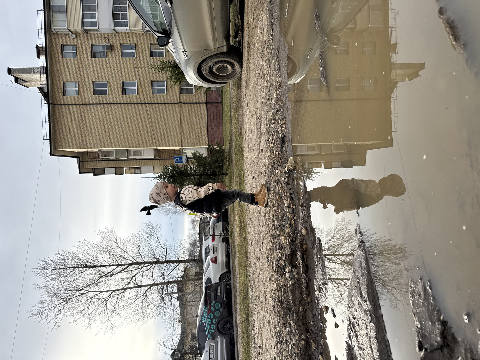 The image depicts an urban scene, likely in Rusanovo, Russia. A young child stands on the edge of a large puddle, their reflection visible in the water. The puddle also reflects a multi-story apartment building behind the child. A black bird flies in the sky above the child, and a bare tree is also visible in the background. Several parked cars line the street. The road appears unpaved and muddy. A car is parked next to the building.
