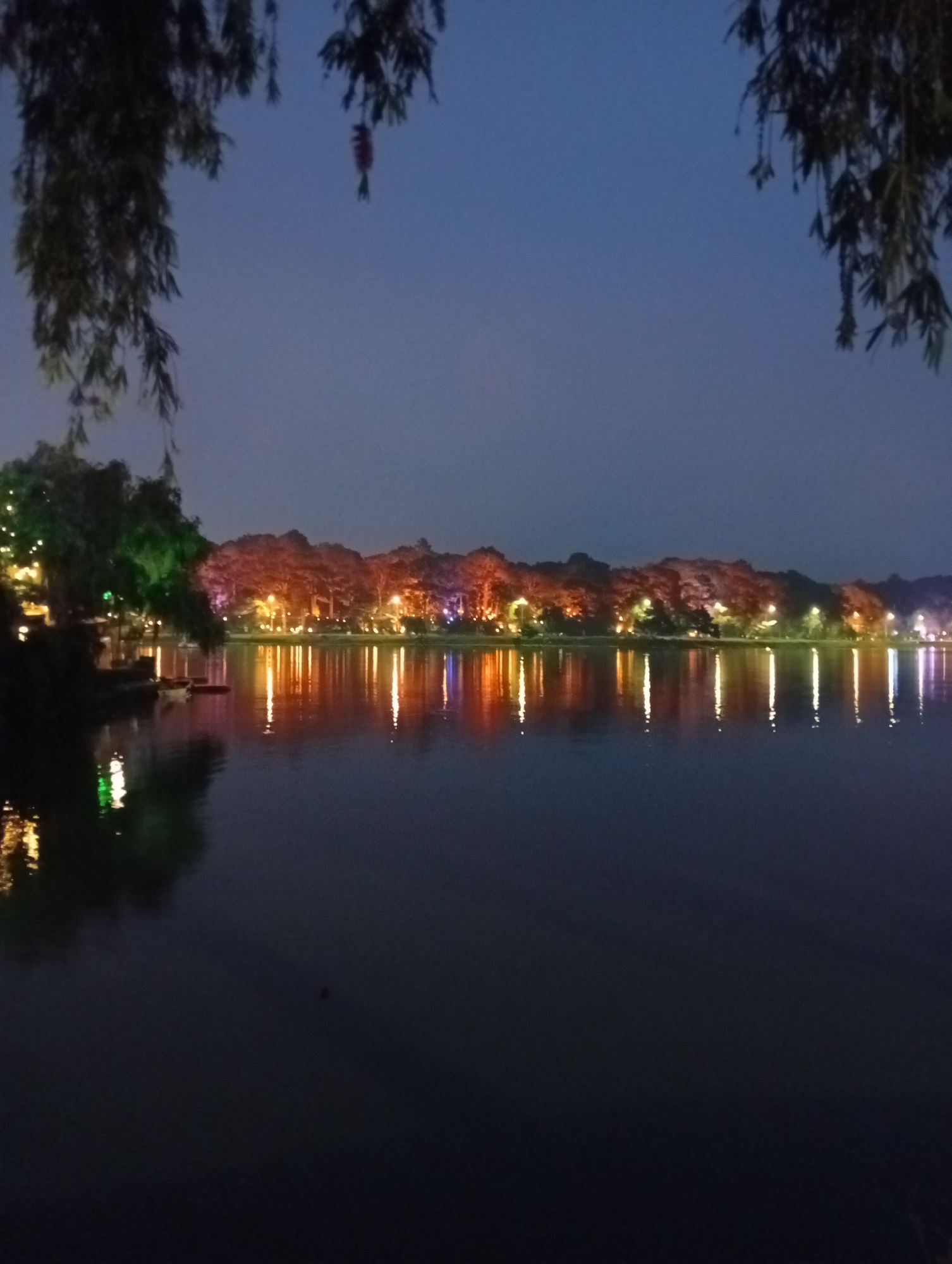 The image shows a dark, nocturnal scene of Xuan Huong Lake in Da Lat, Vietnam. A body of water fills the foreground, reflecting scattered lights from the opposite shore. The shoreline is lined with trees, some illuminated with colored lights (red, orange, green, and white), creating a festive atmosphere. Trees and foliage frame the top edges of the image. The sky above is a dark blue.