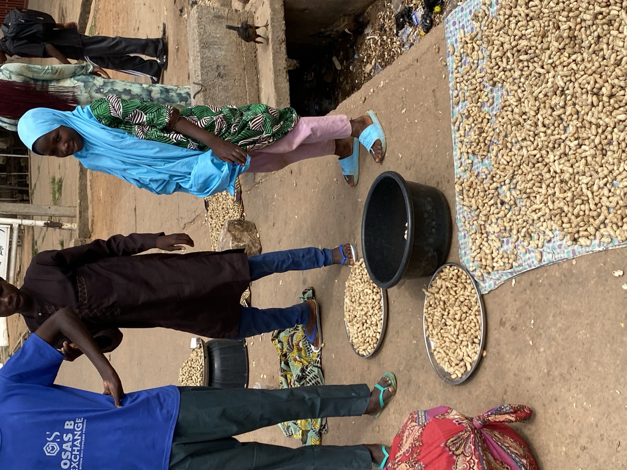 In the Sabon Tasha area of Nigeria, a busy street scene unfolds with individuals engaged in commerce. A person in a bright blue t-shirt stands to the left, facing away from the viewer, with a portion of their arm visible as they interact with another person. To their right, a person in a dark brown tunic and blue trousers stands and looks to the side. In the center, a young person wearing a vibrant blue hijab and a patterned green and white garment is smiling, holding a light blue bundle of fabric. Behind them, another person in a patterned dress and a person in a black shirt and pants are partially visible.
The ground is a mix of dirt and concrete. Several shallow trays and a large black basin are spread out, filled with a substantial amount of peanuts. Some peanuts are also scattered on a patterned cloth laid on the ground. A small bird stands near a concrete structure to the right, while discarded trash is visible on the ground near the edge of the frame. The overall impression is one of an outdoor market or trading area.