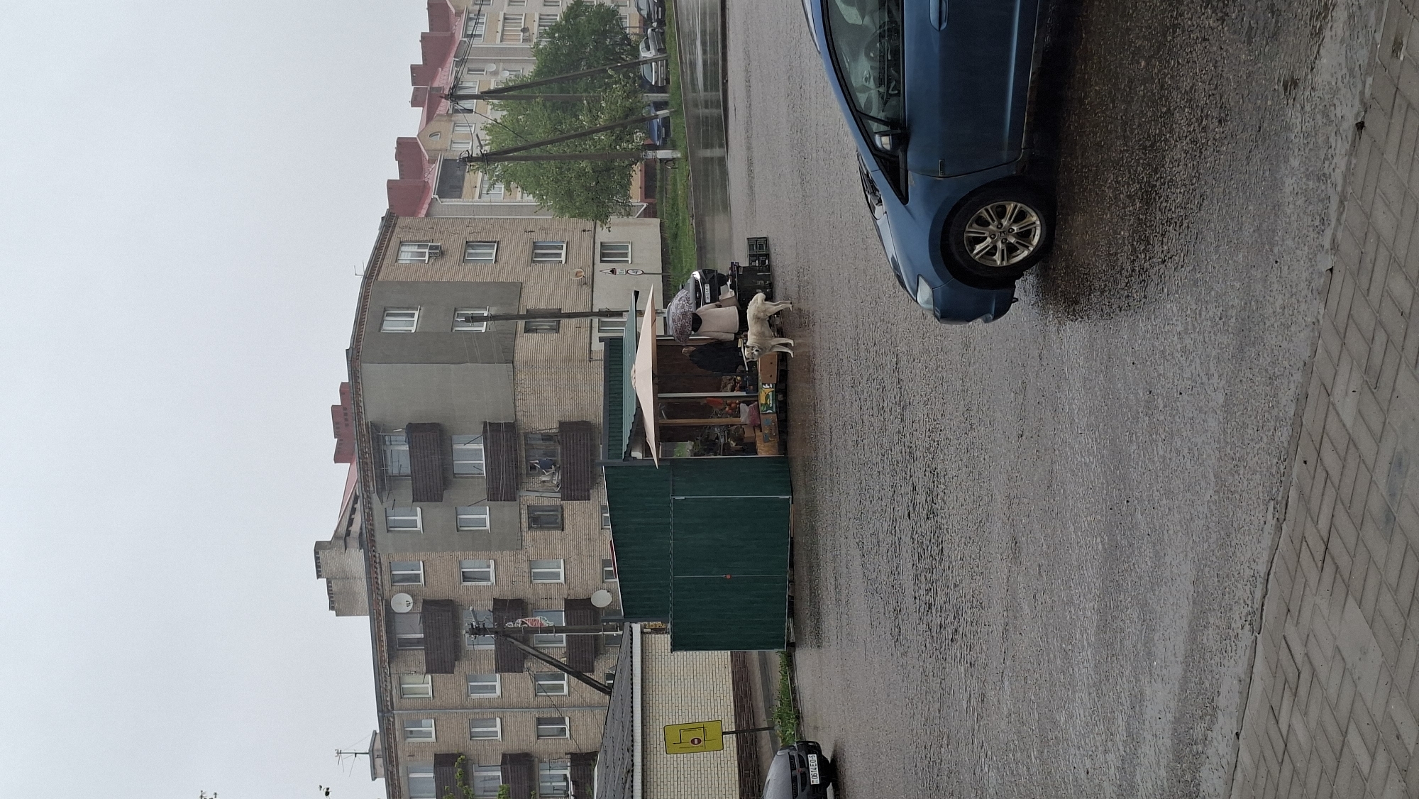 The scene is a street in the city of Unknown, Unknown, on a wet, overcast day. A blue car is parked at the edge of the frame. A street vendor's stall, made of wood and covered with green sheeting, is set up on the side of the road. A person stands under an umbrella at the stall, and a white dog is nearby. A multi-story building is in the background. A yellow pedestrian crossing sign is also visible. The road surface is wet, reflecting the dull sky.