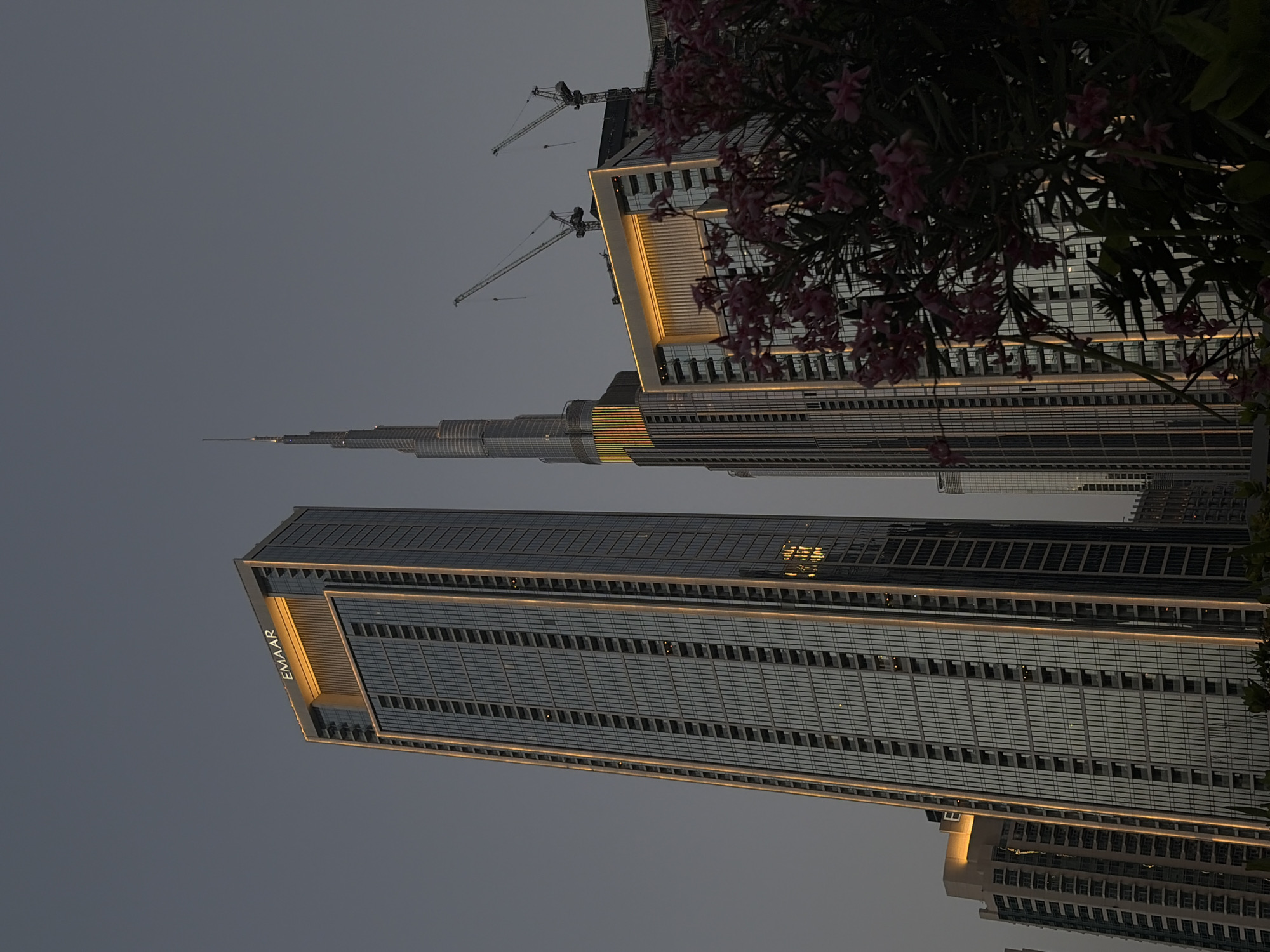 The image shows a low-angle view of buildings in Business Bay, United Arab Emirates, at dusk. In the center is the Burj Khalifa. Cranes are seen near the top of a building to the right of the Burj Khalifa. The building on the bottom left displays the illuminated "EMAAR" logo. Pink flowers and foliage are visible on the right.