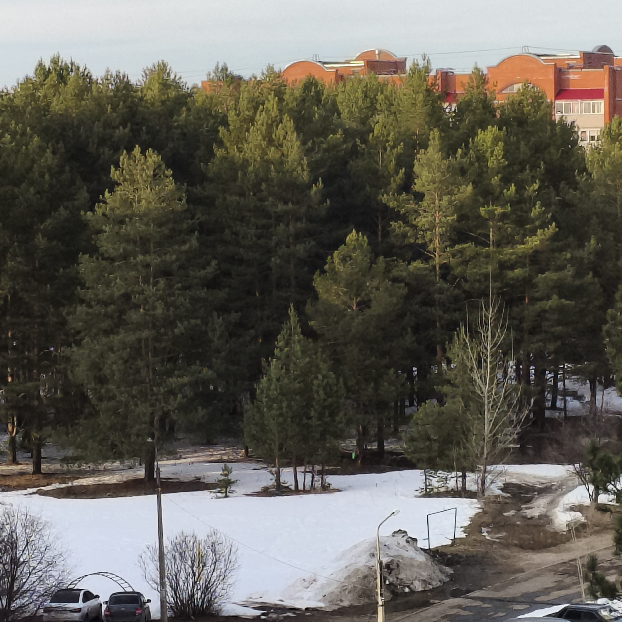 The image depicts an outdoor scene in Chaikovsky, Russia, during late winter or early spring, characterized by melting snow and mixed vegetation under a light sky. In the foreground, two passenger cars, one light-colored and one dark-colored, are parked on a paved surface to the left. A brown streetlight pole rises from the lower-center, with a large, dirty pile of melting snow positioned to its right. The ground in the midground is largely covered with patchy white snow, interspersed with areas of exposed dark brown earth. A narrow, unpaved path or dirt road winds through the snow on the right side. Behind this, a dense coniferous forest, primarily composed of pine trees with dark green foliage, dominates the central and upper-mid sections of the frame. Several bare deciduous trees and smaller evergreen saplings are visible within and in front of the main forest line. In the background, above the treeline, several multi-story buildings with distinctive orange-red brick facades and curved rooflines are visible. One building section features a bright red roof and white multi-paned windows. No individuals are visible in the scene.