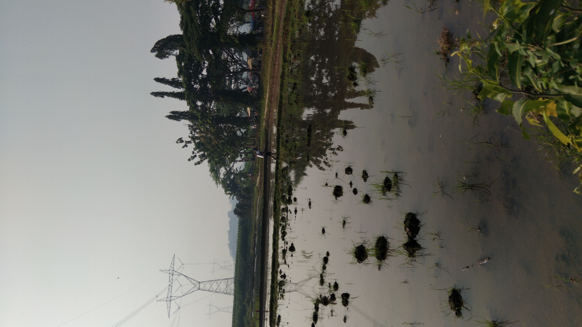 The image depicts a rural landscape with flooded rice paddies in the foreground, reflecting the overcast sky and surrounding vegetation. In the midground, a person is walking along a path that separates the paddies. Further in the background, a line of trees stands tall, and beyond them, large electricity pylons are visible, indicating the presence of infrastructure. The overall scene suggests a typical agricultural setting in a somewhat hazy environment. The image is a vertical shot, taken outdoors.
