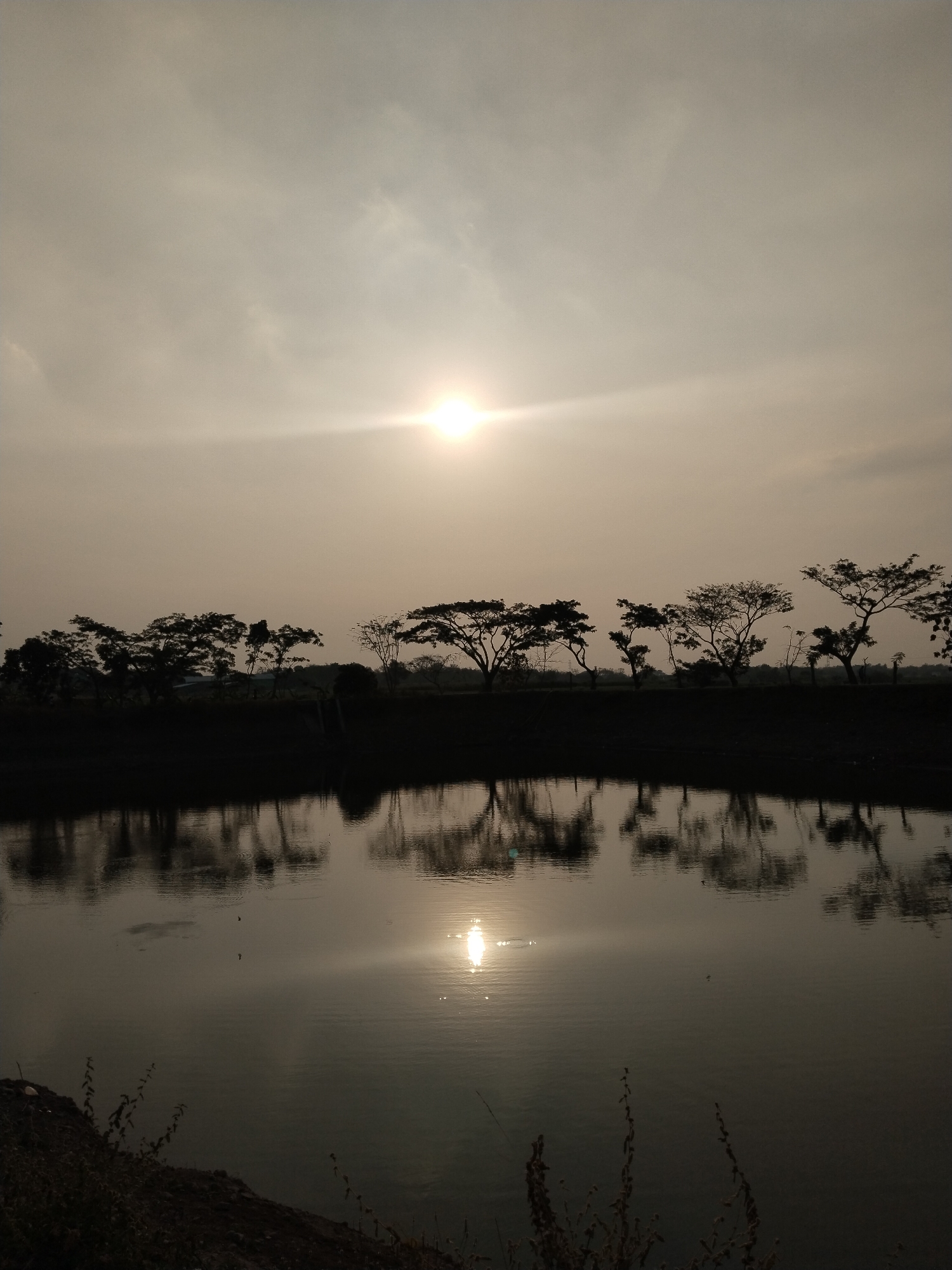 The image depicts a serene natural landscape at sunset. The sun, a bright orb with a lens flare, is positioned in the upper center of the frame, casting a warm glow through a hazy sky. Silhouetted against the sky is a line of trees with intricate branches, forming a natural border. Below the trees, a calm body of water perfectly reflects the trees and the sunset, creating a mirror image. The foreground shows the dark, textured ground on the bank of the water body, with some sparse vegetation. The overall atmosphere is tranquil and reflective. This scene could be a typical view in a rural area like Sambirejo, Indonesia, where natural beauty is abundant.