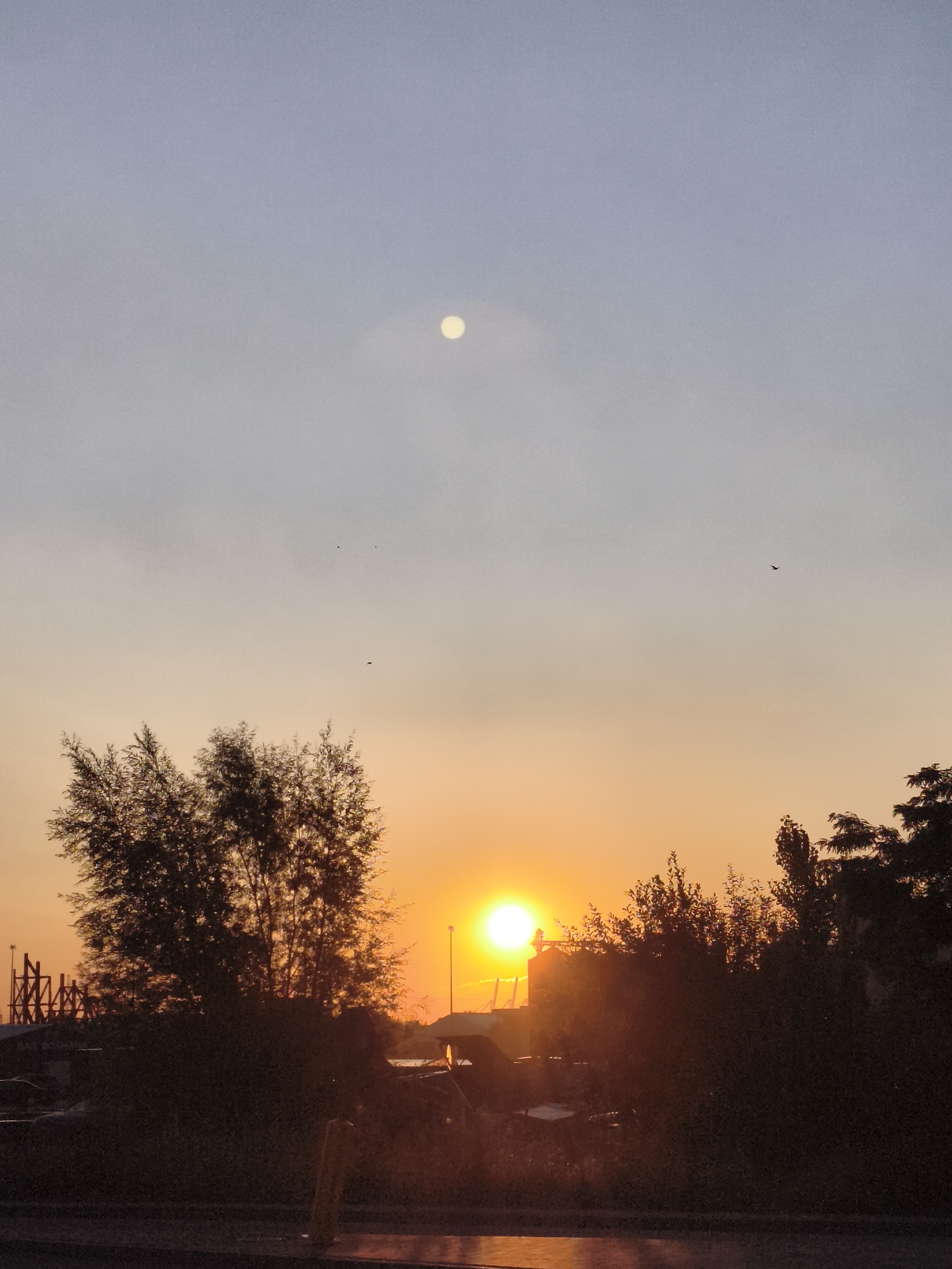 The image depicts a sunset over an urban landscape, possibly in Gdańsk, Poland. The sky transitions from a pale blue at the top to a vibrant orange near the horizon. A bright, luminous sun is setting, casting a warm glow and creating silhouettes of trees and structures in the foreground. The trees are dense and dark, with their branches reaching towards the sky. In the distance, there appear to be some industrial or construction elements, including a tall, lattice-like structure. A few birds are visible in the sky, adding to the natural element of the scene. The ground in the immediate foreground is dark and reflective, suggesting a wet surface or pavement. The overall impression is one of a serene, yet slightly industrial, end to the day.