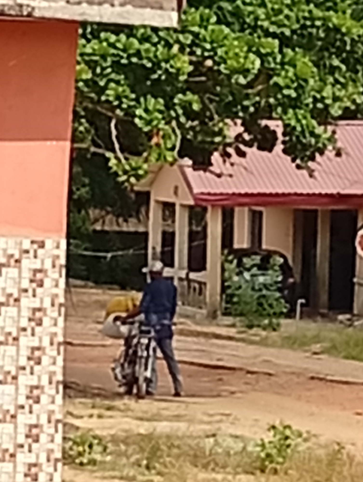 The image shows a man on a motorcycle in a residential area. The man is wearing a dark jacket and light-colored pants. He is carrying a yellow object on the motorcycle. In the background, there are houses with red roofs and green trees. The road appears to be dirt or gravel. Location is in the city of Unknown, Unknown.