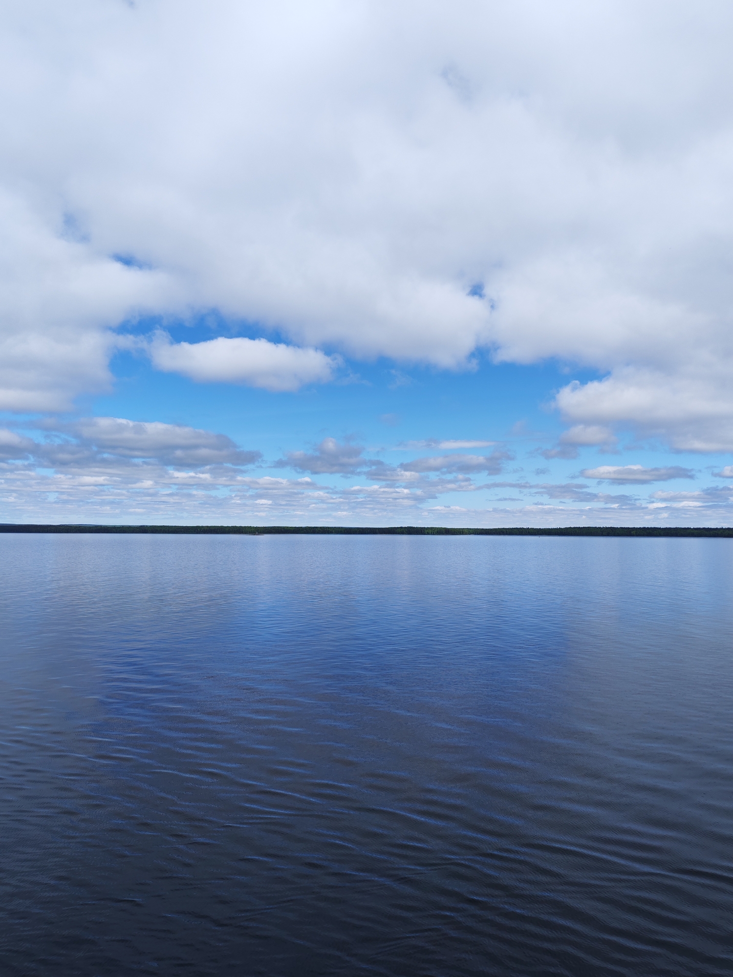 This vertical landscape photograph, taken in Perguba, Russia, depicts a vast and tranquil natural scene. The image is prominently divided by a distinct horizon line, showcasing a large body of water beneath a bright, partially cloudy sky.
The lower two-thirds of the frame are filled by the expansive water, which appears deep blue to dark blue-grey, reflecting the sky and clouds. Gentle ripples and small waves are visible across the water's surface, suggesting a light breeze. A thin, dark green line of dense forest marks the distant shoreline, stretching across the horizon and separating the water from the sky.
The upper third of the image features a vibrant blue sky dotted with numerous fluffy, white cumulus clouds. These clouds are scattered in distinct bands, allowing clear patches of blue to show through.
The scene suggests daytime, likely late morning or early afternoon, under fair weather conditions. The overall impression is one of serenity and natural beauty. There are no people or prominent man-made objects, though a very small, indistinct white speck is barely visible on the water near the distant horizon, possibly a buoy or a very small boat. No visible text is present in the image.