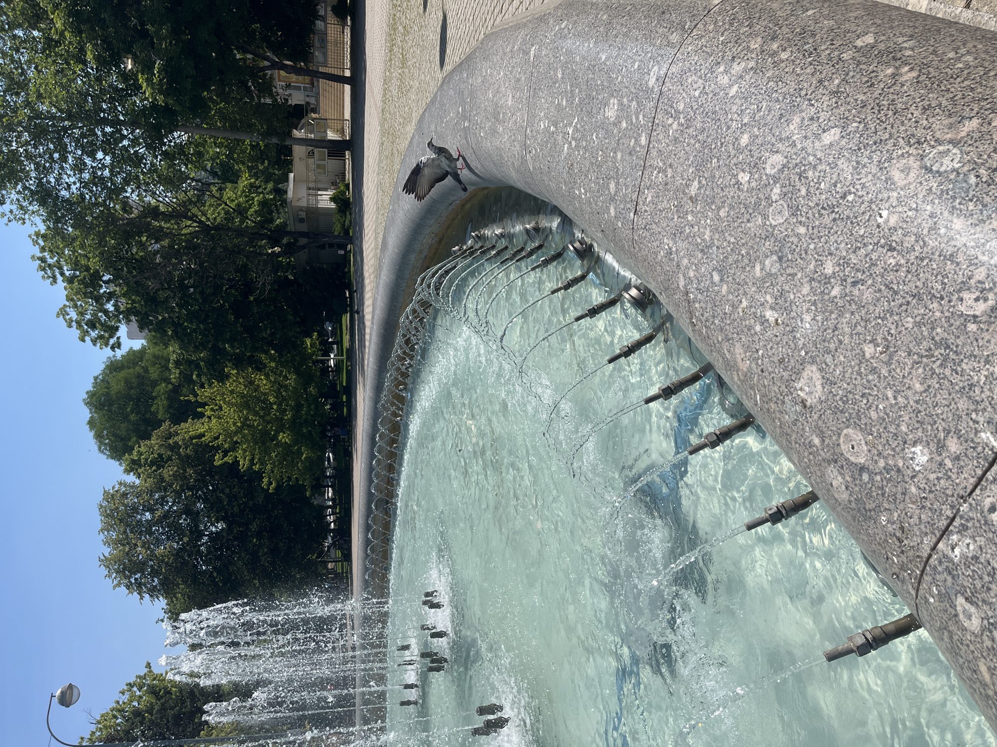 A pigeon is perched on the edge of a large, circular fountain with clear, turquoise water. The fountain has multiple spouts from which water is spraying, creating a shimmering effect. The fountain's edge is made of speckled granite. In the background, there are lush green trees and a clear blue sky. The scene appears to be in an urban park or public square. This scene is likely in Krasnodar, Russia, given the style of the fountain and surrounding architecture.