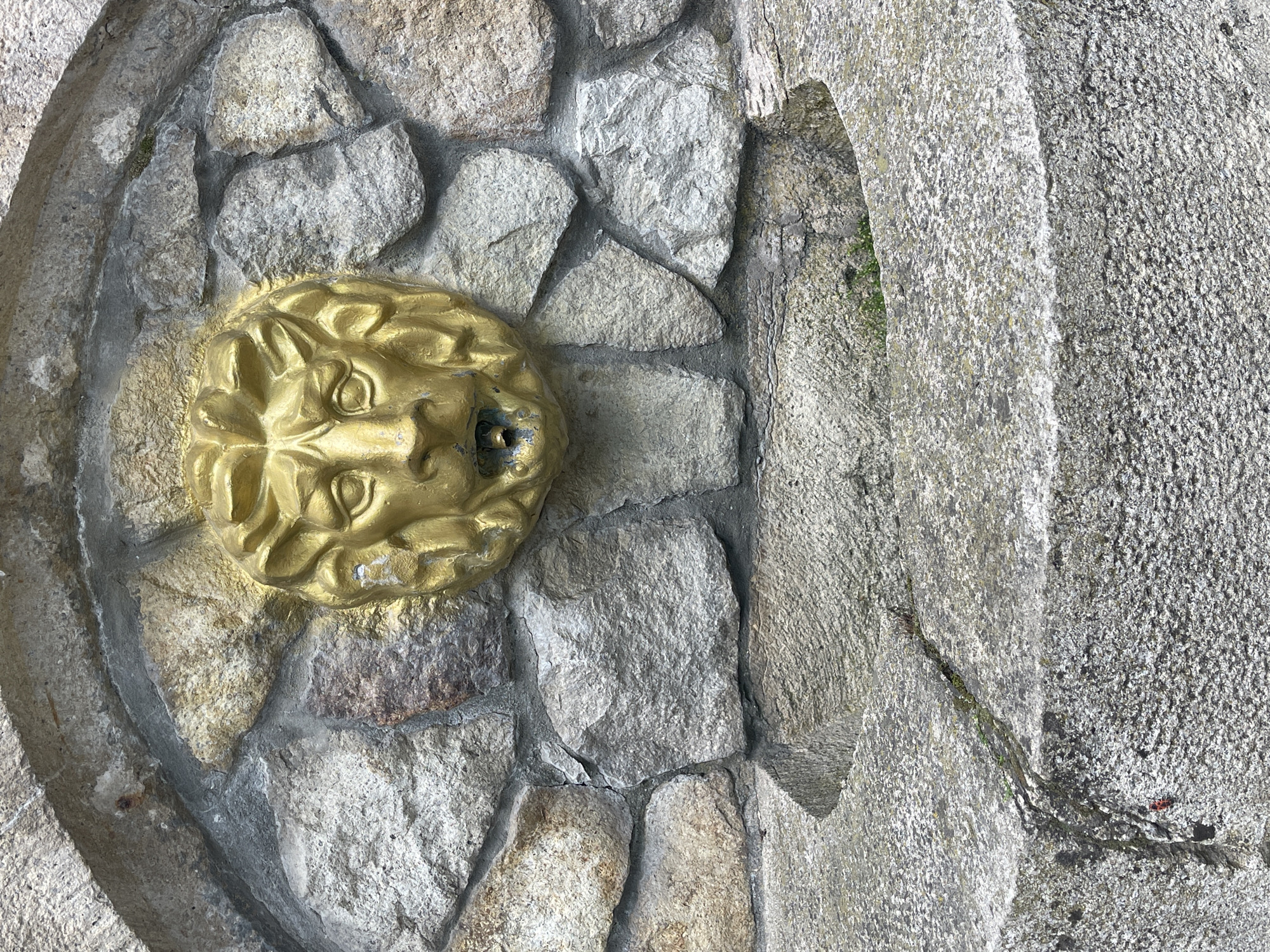 This is a close-up, eye-level, outdoor, natural light photograph of a decorative stone fountain spigot shaped like a golden lion's head. The lion's head is mounted on a wall constructed of irregularly shaped, grey and beige stones. Water appears to be trickling from the lion's mouth. Below the lion's head, a carved stone basin is visible, which is part of the fountain structure. The basin is made of a lighter grey stone and has a rough, textured surface. There is a crack running through the front of the basin, and a small amount of green moss or grass is growing in the crack. In the lower left corner of the basin, a small red beetle is visible. The overall scene suggests an older, possibly decorative, fountain structure made of natural materials. The location is identified as Zheleznovodsk, Russia, a city known for its mineral springs and spa resorts.
