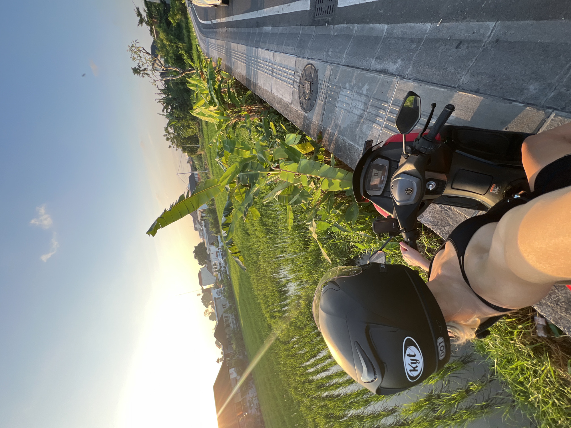 A POV shot captures a woman on a motorcycle, parked beside a flooded rice paddy. She's wearing a black helmet, a black top, and has blonde hair. The motorcycle is red and black, with a digital display showing "0". Banana trees line the side of a paved road, which is to the right of the motorcycle. The sun is setting, casting a warm glow over the scene and creating lens flare. Buildings are visible in the background, suggesting a semi-rural or suburban area of North Kuta, Indonesia.