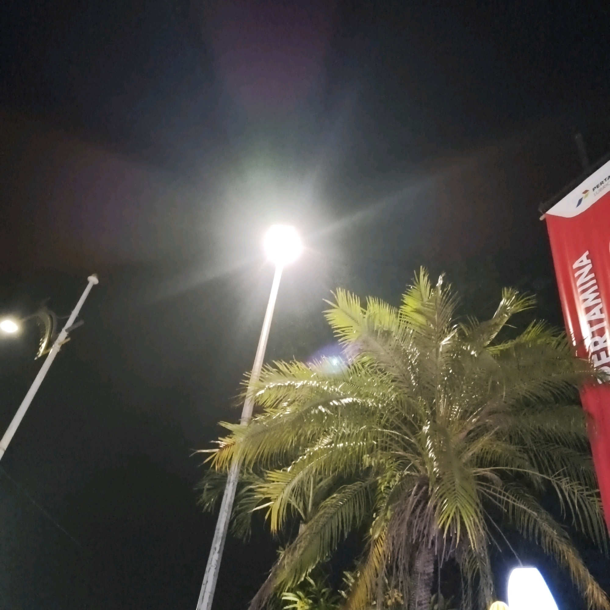 The image captures a nighttime street scene in South Jakarta, Indonesia, with a focus on tropical foliage and artificial lighting. A tall, white lamppost with a bright, circular light source dominates the left side of the frame, casting a strong glow that creates lens flare and illuminates the surrounding palm trees. To the right, a large, red banner with white lettering, partially obscured by palm fronds, is visible. The text on the banner appears to read "PERTAMINA," a prominent Indonesian state-owned oil and gas company. The background is a dark night sky, with some lighter areas indicating ambient light or reflections. The overall impression is one of an urban environment at night, likely a public space or roadside, adorned with palm trees common in tropical regions. No people are visible in the image.