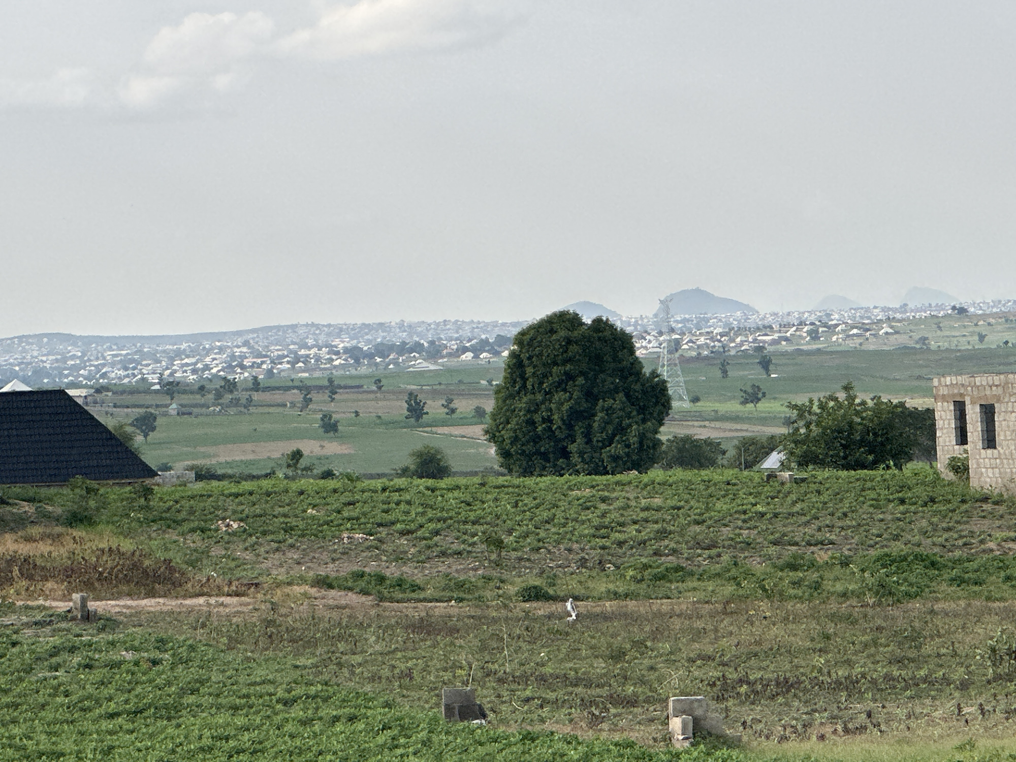 The image depicts a landscape view of Gidan Waziri, Nigeria, under an overcast sky. In the foreground, a field of green crops extends across the frame, with patches of dry grass and scattered building materials. A portion of a black-tiled roof, belonging to a building on the left, is visible. To the right, a partially constructed building with a brick facade and dark windows is situated.
In the middle ground, a large, dense green tree stands prominently. Beyond it, the terrain slopes gently upwards towards a distant cityscape. The city is characterized by numerous residential buildings with white roofs, densely packed together, stretching across a wide expanse. In the far distance, rolling hills and mountains are visible, fading into the hazy atmosphere. A few utility poles and towers are interspersed within the landscape and cityscape. The overall scene suggests a developing area on the outskirts of a city, with agricultural land meeting urban expansion.