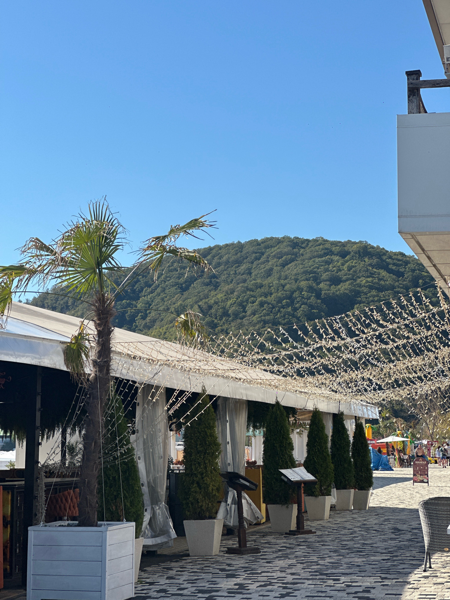 The image depicts an outdoor seating area at a seaside resort in Lermontovo, Russia. A white tent structure, likely a cafe or restaurant, is visible on the left, adorned with numerous small white lights strung across its awning. In front of the tent, a tall palm tree stands in a white planter. Several conical evergreen trees in white planters are arranged in a row, leading the eye towards the right side of the frame. The ground is paved with dark and light patterned tiles. In the background, a lush green, tree-covered mountain rises under a clear blue sky. Further in the distance, to the right, several people are visible walking along a path, and there are signs and a white umbrella, suggesting a lively resort atmosphere. The overall impression is one of a pleasant, sunny day at a vacation destination.
