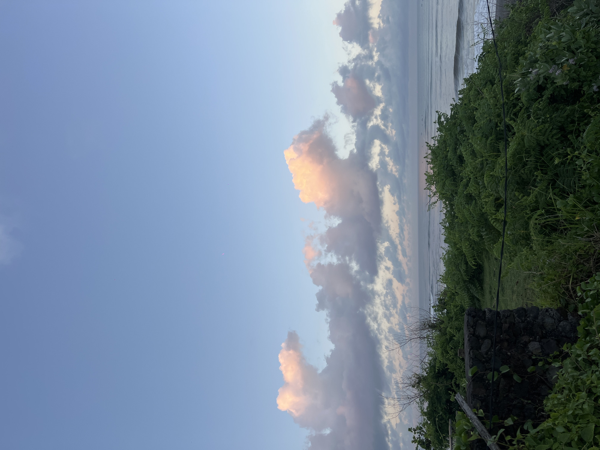 A daytime view of the sky, ocean, and lush vegetation along a coastline in Unknown, Indonesia. The sky is a gradient of light blue, with puffy clouds tinged with shades of pink and grey. The ocean is visible as a strip of light grey and white, with small waves. Dense green foliage lines the coast, appearing to be ferns and other plants. There is a portion of a dark grey stone structure among the vegetation.