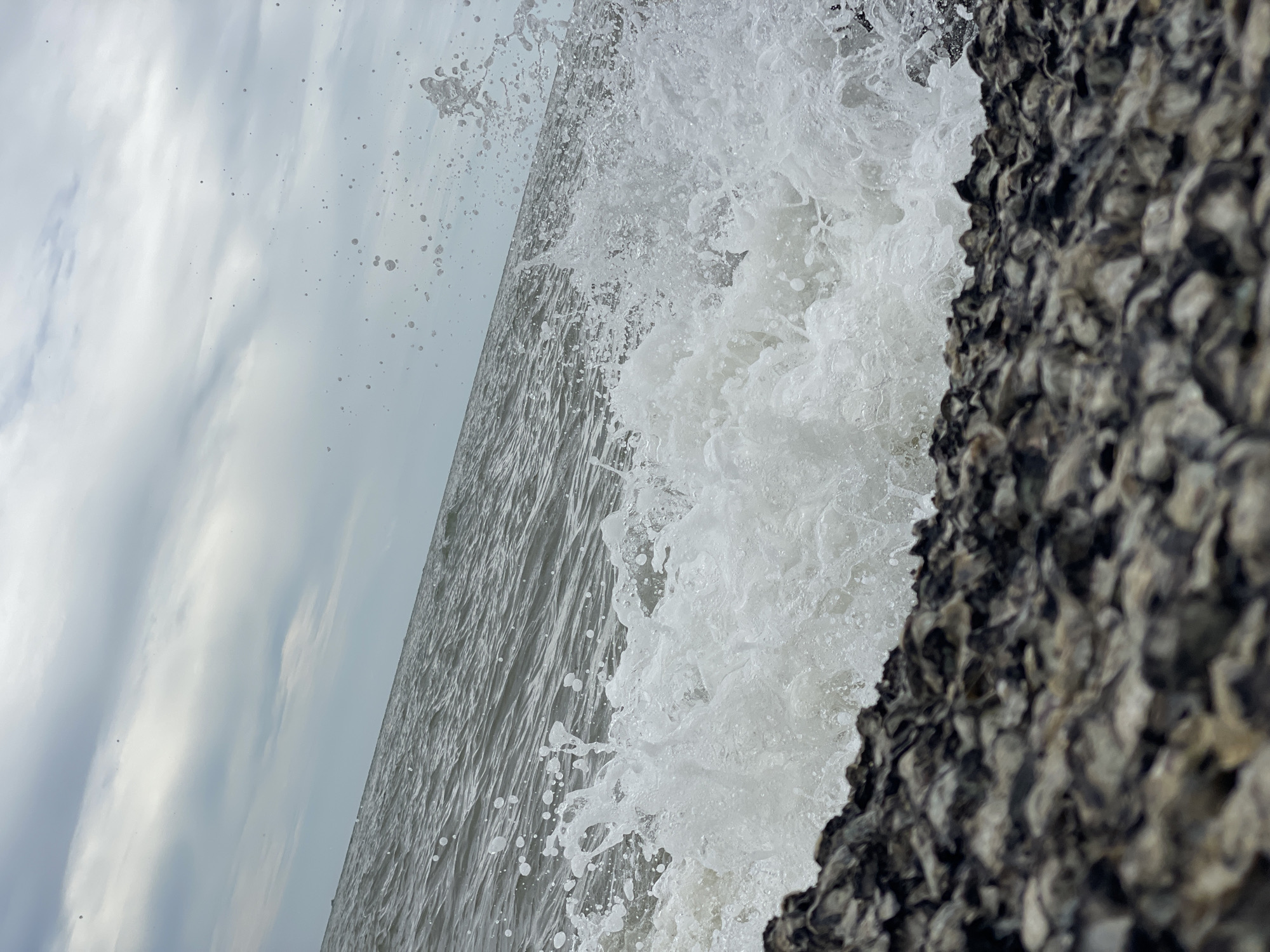 A wave crashes onto a rocky shore. The water is a deep gray-blue, with white foam and spray erupting from the impact. The rocks in the foreground are dark and rough, appearing to be composed of oyster shells. The sky is overcast with dramatic, streaky clouds. The scene is dynamic and shows the raw power of the ocean. The location is not specified in the image or provided information.