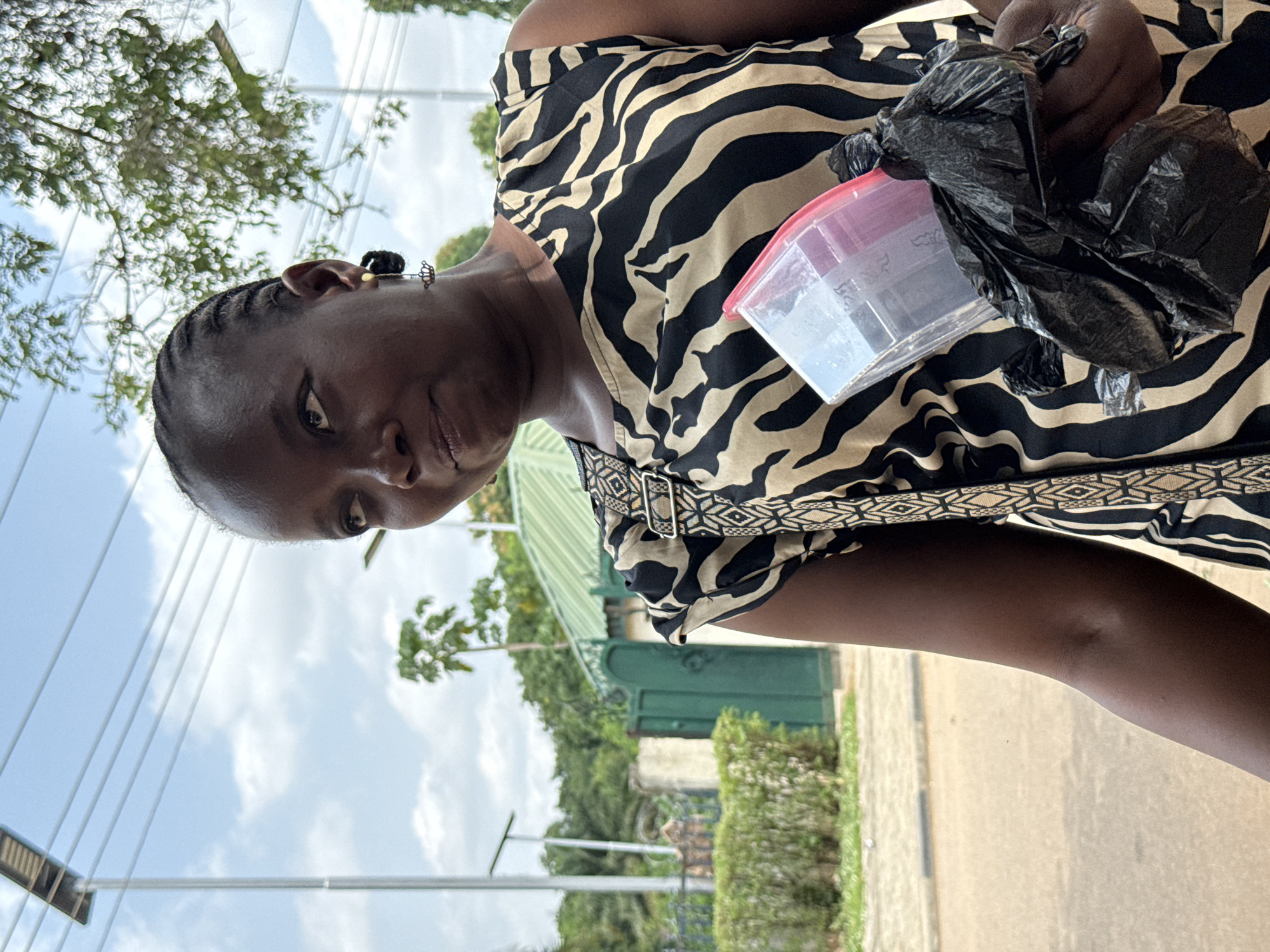 A medium shot shows a dark-skinned woman with braided hair in the foreground, her body angled to the right. She wears a sleeveless dress with a black and beige zebra-like pattern and a decorative trim across her chest. She is holding a clear plastic container with a red lid and a black plastic bag in her right hand, which is positioned in front of her body. She looks to her left, with her head tilted slightly up, and her mouth is slightly ajar. Her left ear is adorned with a small, dark earring.
In the background, a paved road is visible, with a low hedge and a green gate to the left. Behind the gate, a building with a green roof can be seen, and further in the distance, trees and foliage indicate a lush, green environment. A tall light pole with solar panels stands in the far left of the image, and another light fixture is visible on the right. The sky above is a pale blue, dotted with scattered white clouds. The overall setting appears to be an outdoor urban environment in Abuja, Nigeria, likely during the daytime.