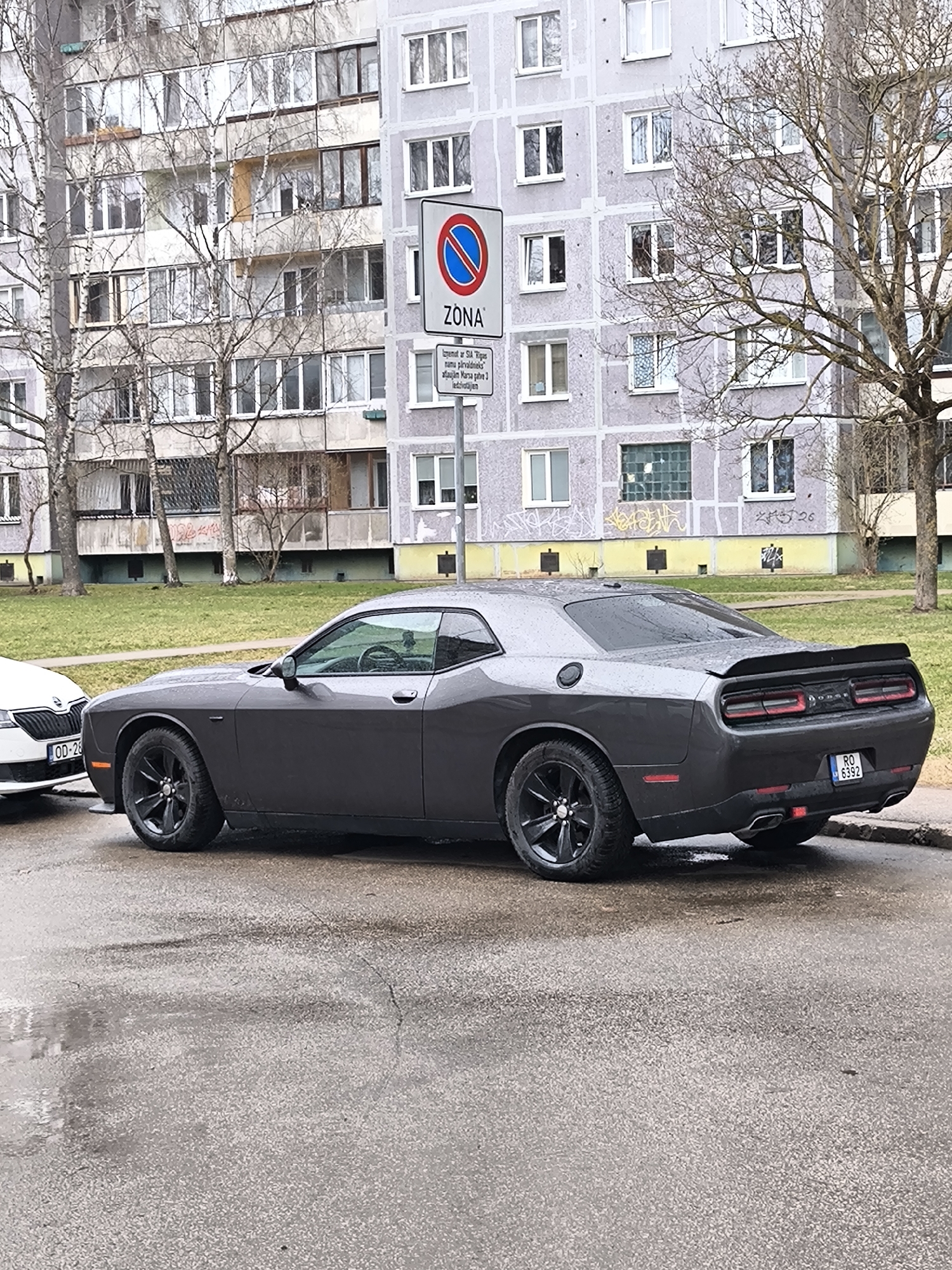 The image shows a dark grey Dodge Challenger parked on a wet street in front of a large, Soviet-era apartment building. In the background, there is a green grassy area and several bare trees, indicating it is likely early spring or late autumn. There is a white car visible partially on the left. A parking prohibition sign is next to the vehicle. The license plate on the Dodge Challenger reads "RO 6392". The parking prohibition sign includes the text "ZONA" and details about the parking restrictions being enforced by "SIA Rigas". Based on the context of "SIA Rigas" on the sign, the location is Riga, Latvia. The license plate on the white car in the foreground is "OD-28". The street surface is wet, reflecting the ambient light and nearby objects. The building behind the car is a light grey multi-story apartment building with numerous rectangular windows. There is some graffiti visible on the base of the apartment building.