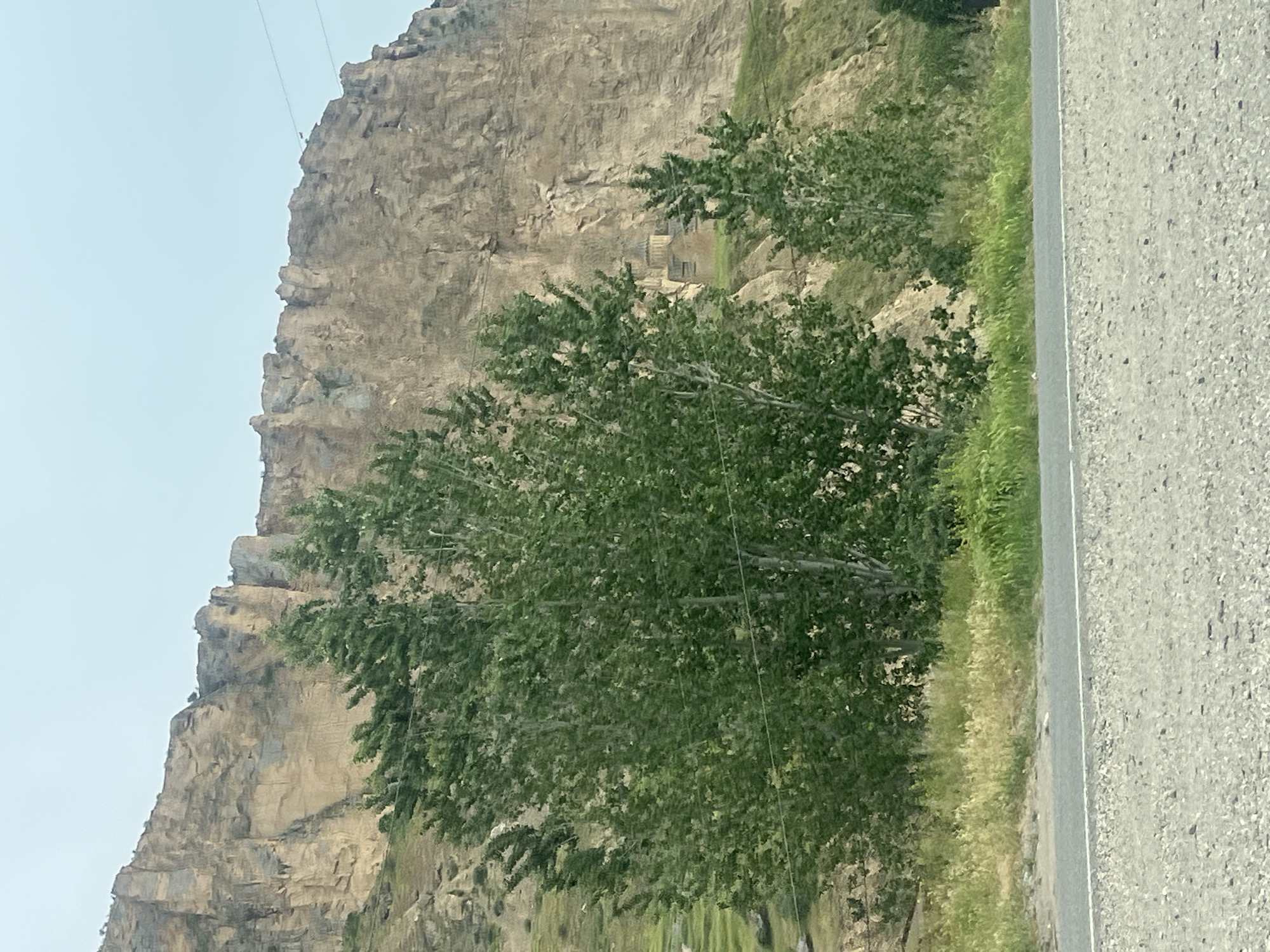 This media file features a large, rugged cliff face on the left, rising steeply in a mountainous landscape, situated in Chiva, Armenia. The cliff is composed of light brown, eroded rock formations.
A small, indistinct figure, possibly a person, is visible near the very top edge of the cliff, appearing to be connected to a wire or rope extending upwards, suggesting an activity like rappelling or climbing. Further down the cliff face, amidst the natural rock, an old structure is carved into the rock, resembling a series of steps or rooms, hinting at a historical dwelling or fortification. This structure is partially obscured by the dense green foliage of trees growing at the base of the cliff.
To the right of the cliff, a paved road with a gravel shoulder runs along the edge of the scene. Green and yellowish grass and more trees separate the road from the cliff. Numerous thin wires or cables are strung across the image, passing through the trees and in front of the cliff face.
The scene is captured during daytime, under what appears to be a bright, possibly hazy sky. No visible text is present.