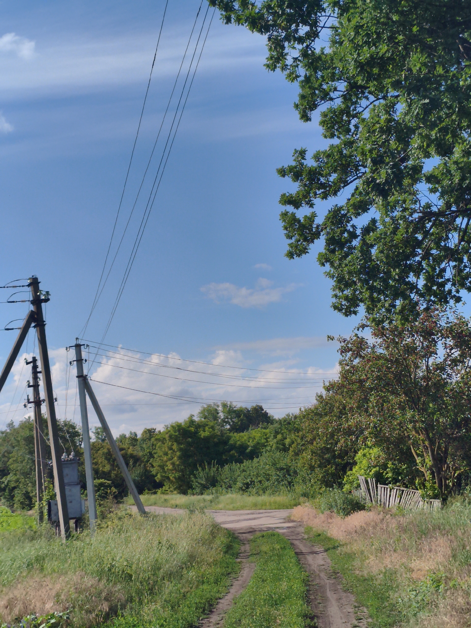 This is a vertical, eye-level shot of a dirt road winding through a rural landscape under a bright, partly cloudy sky. Two sets of power poles with electrical wires stretch across the frame, with one transformer visible on the left. Lush green trees and tall grass line the road, and to the right, a weathered wooden fence stands partially obscured by foliage. The scene evokes a sense of tranquility and a warm, sunny day, likely in the late morning or early afternoon. The location context indicates this is Ustyvytsia, Ukraine.