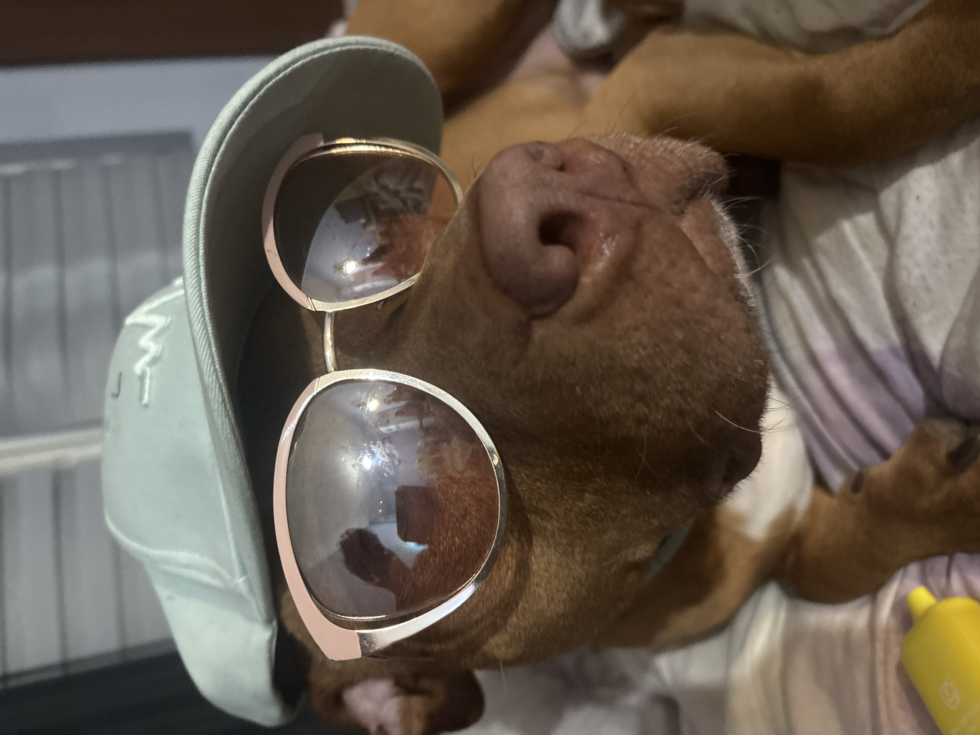 A dog wearing sunglasses and a hat is lying down. The dog is brown with a pink nose. The sunglasses have round frames. The hat is light blue. The dog is on a patterned surface. A yellow object is also present. The location is not discernable from the image.