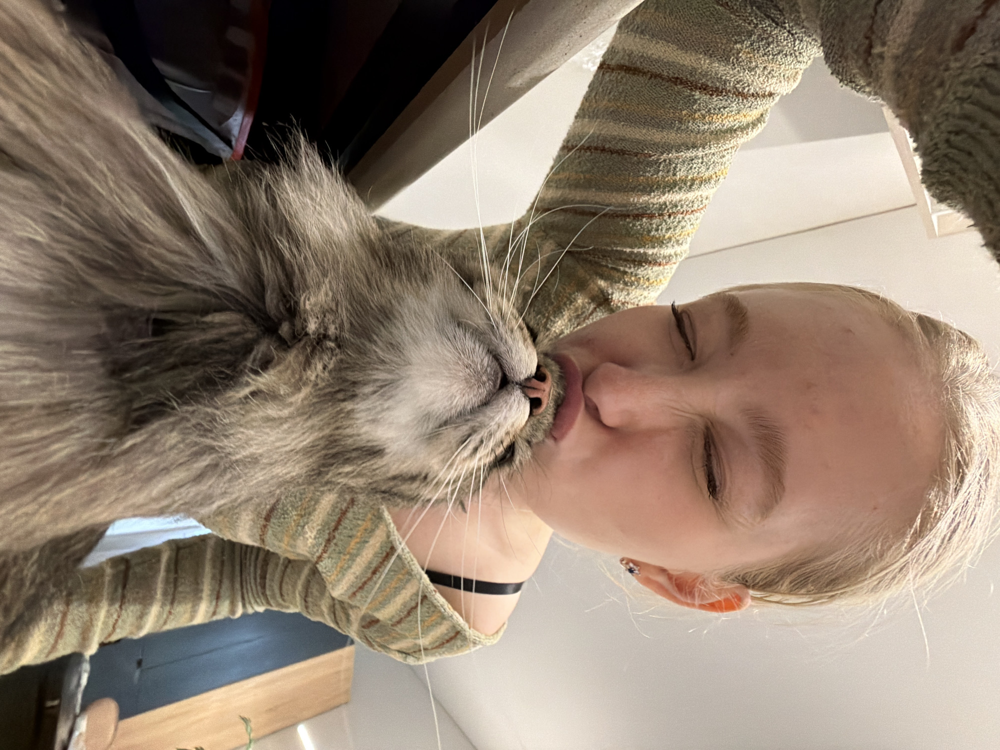 A woman with light blonde hair and closed eyes is kissing a gray, long-haired cat. The woman wears a striped sweater and a black choker necklace. The background is blurry but includes a light-colored wall and furniture. The location in Засечное, Russia, is not evident from the image.